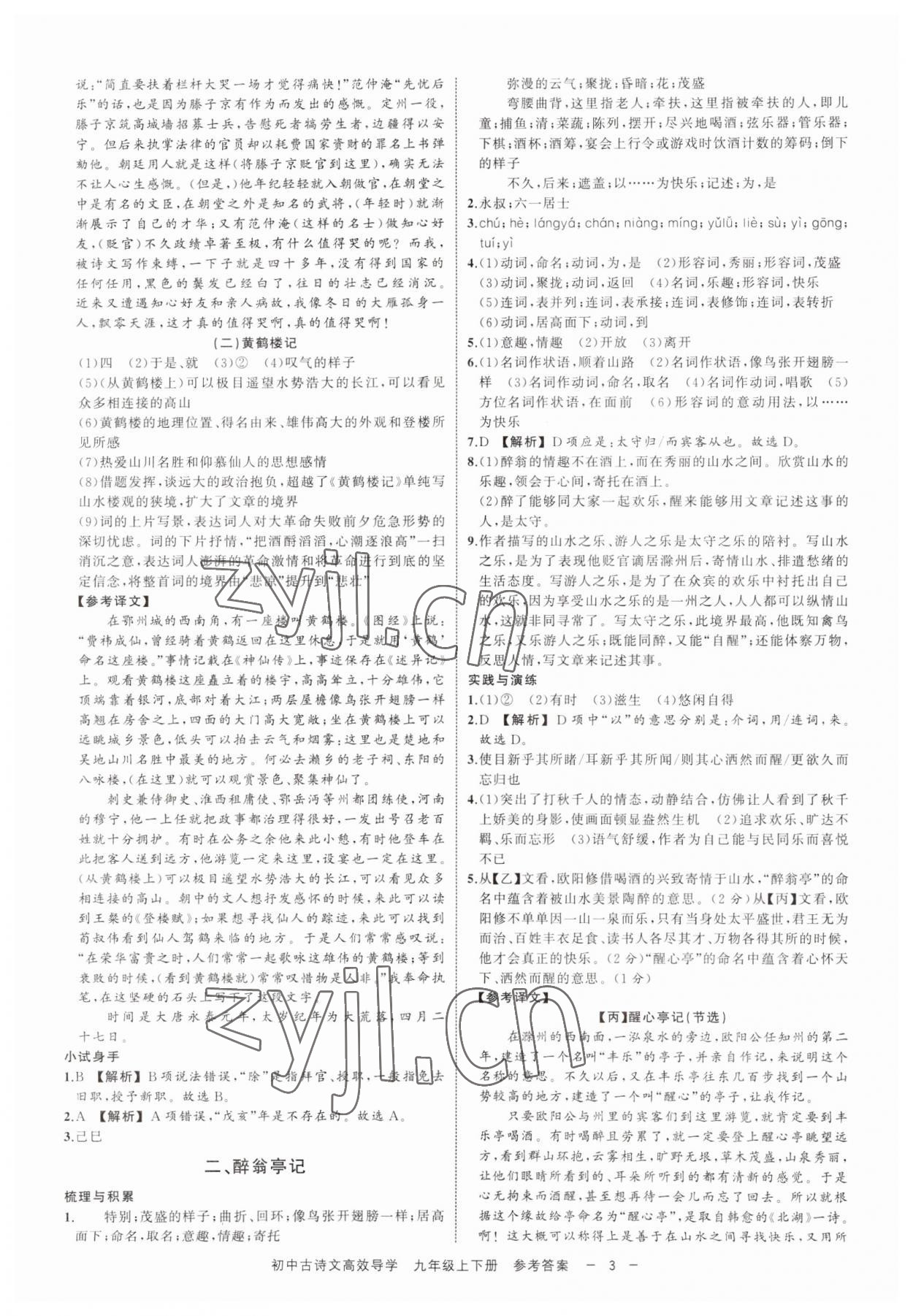 2023年古詩文高效導(dǎo)學(xué)九年級語文全一冊人教版 參考答案第2頁