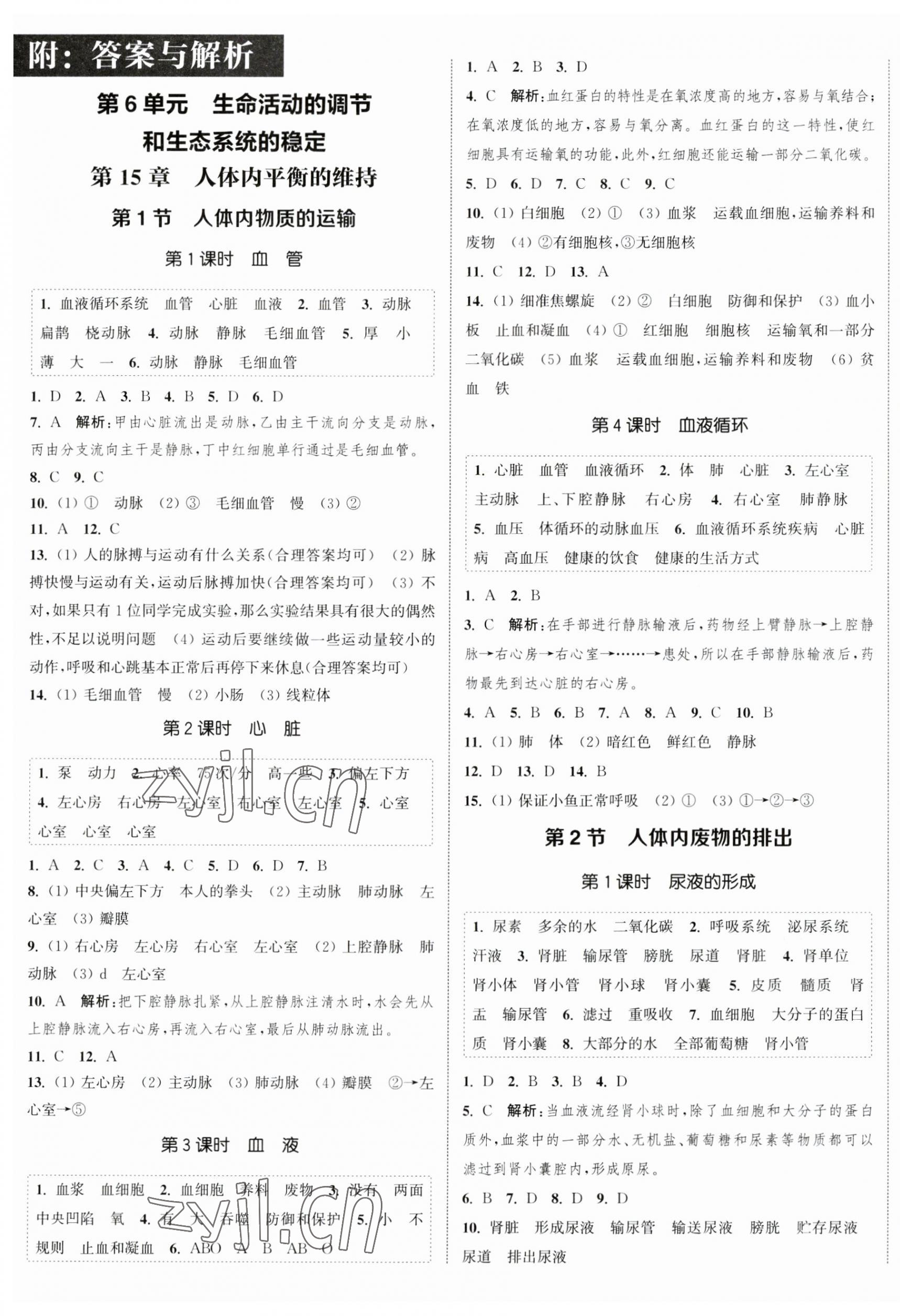 2023年通城学典课时作业本八年级生物上册苏科版 参考答案第1页