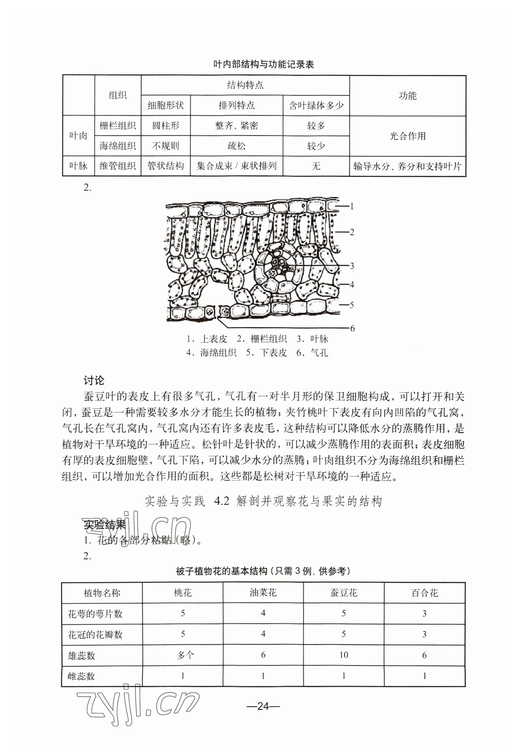 2023年教材課本初中生命科學(xué)第二冊(cè) 參考答案第24頁(yè)