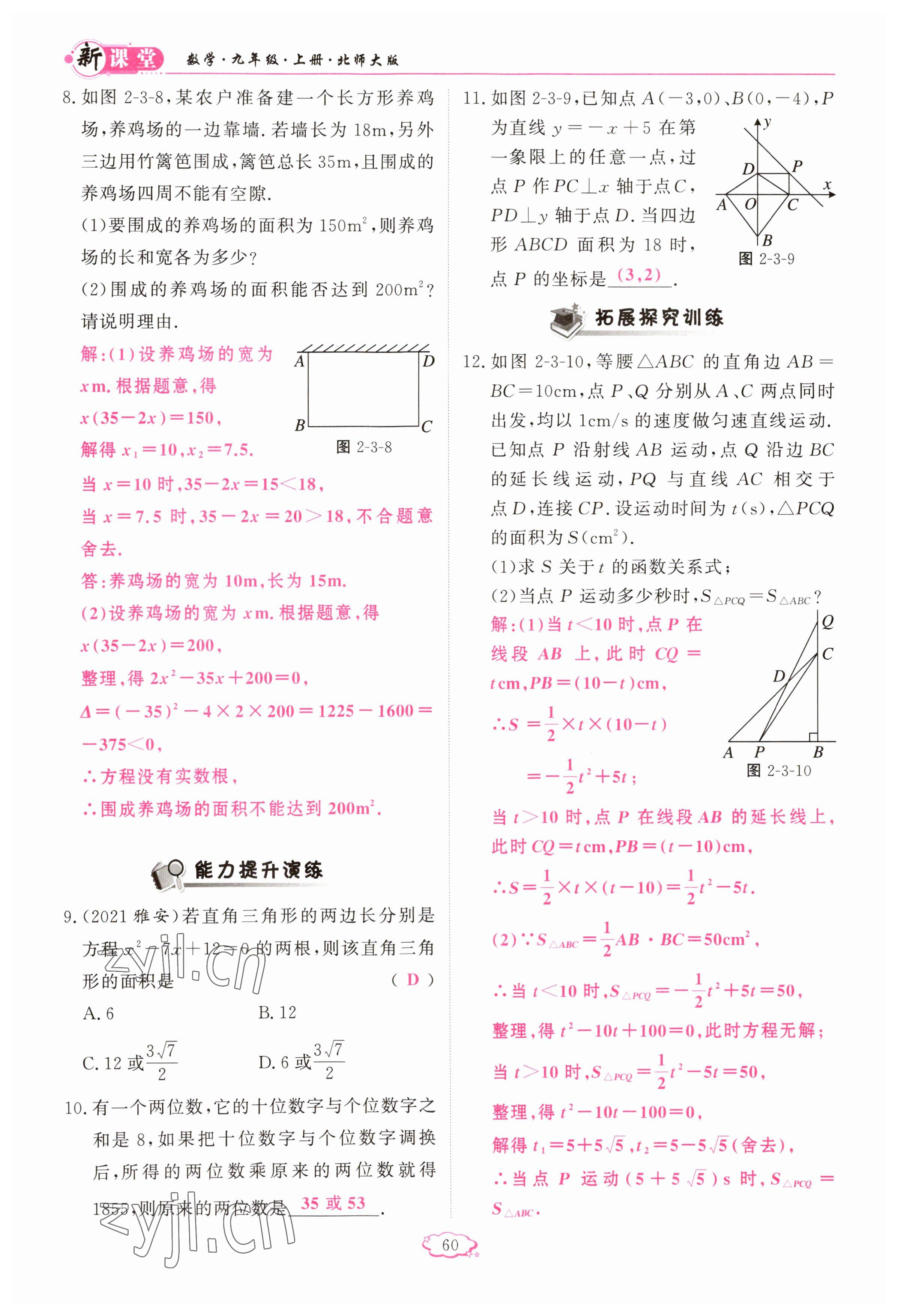 2023年启航新课堂九年级数学上册北师大版 参考答案第60页