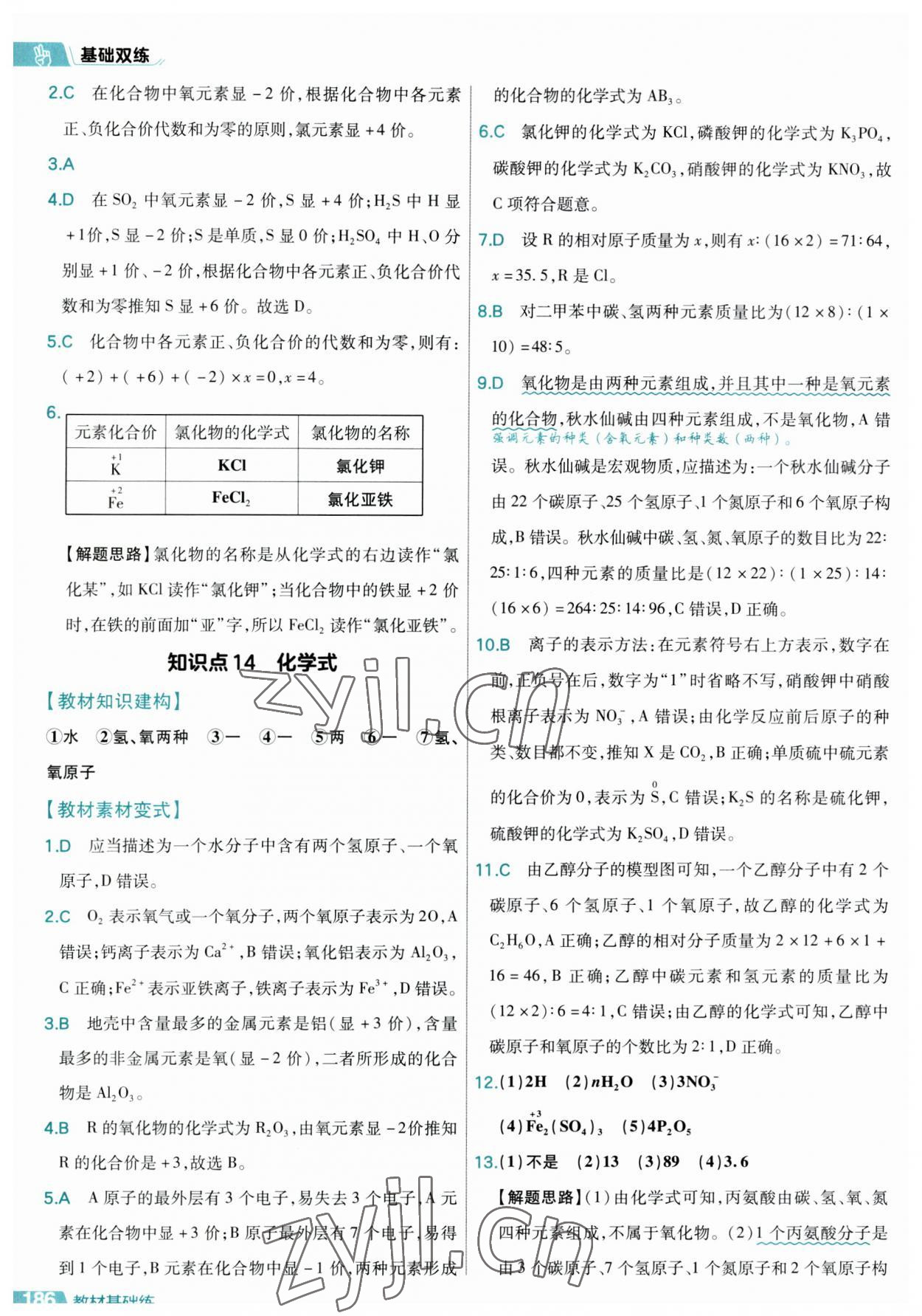 2023年基礎(chǔ)雙練中考化學(xué)&nbsp;參考答案第10頁