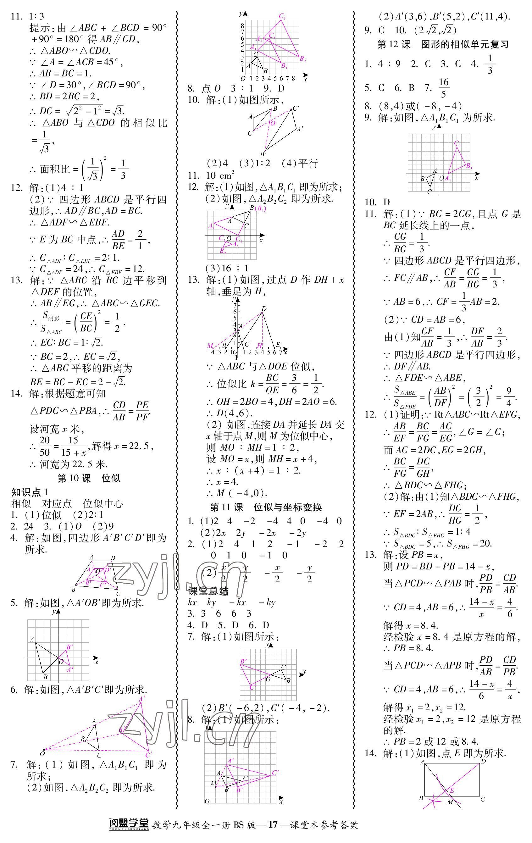 2023年零障礙導教導學案九年級數(shù)學全一冊北師大版 參考答案第17頁