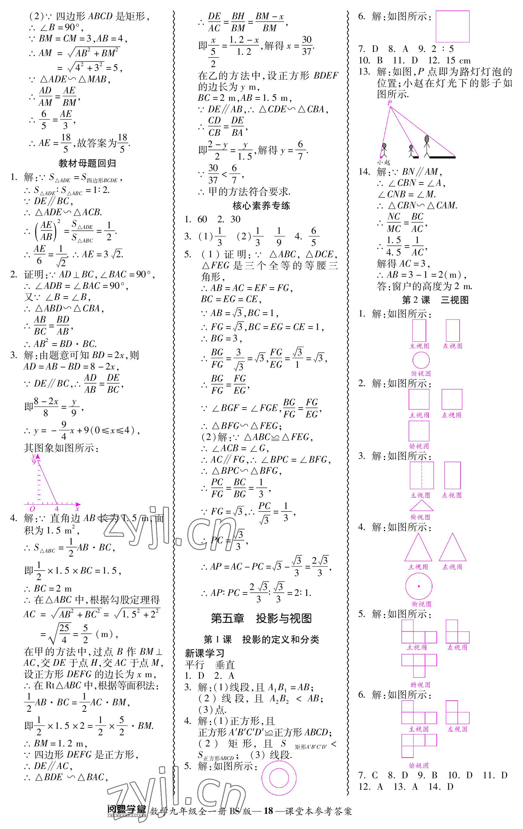 2023年零障礙導(dǎo)教導(dǎo)學(xué)案九年級數(shù)學(xué)全一冊北師大版 參考答案第18頁