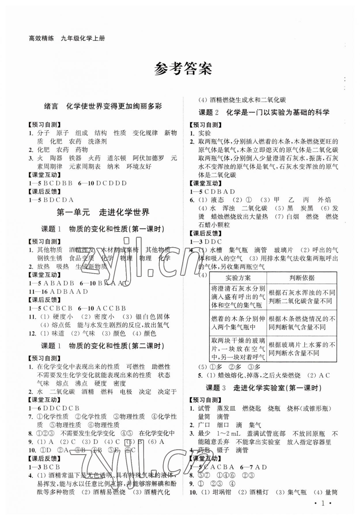 2023年高效精练九年级化学上册人教版 第1页