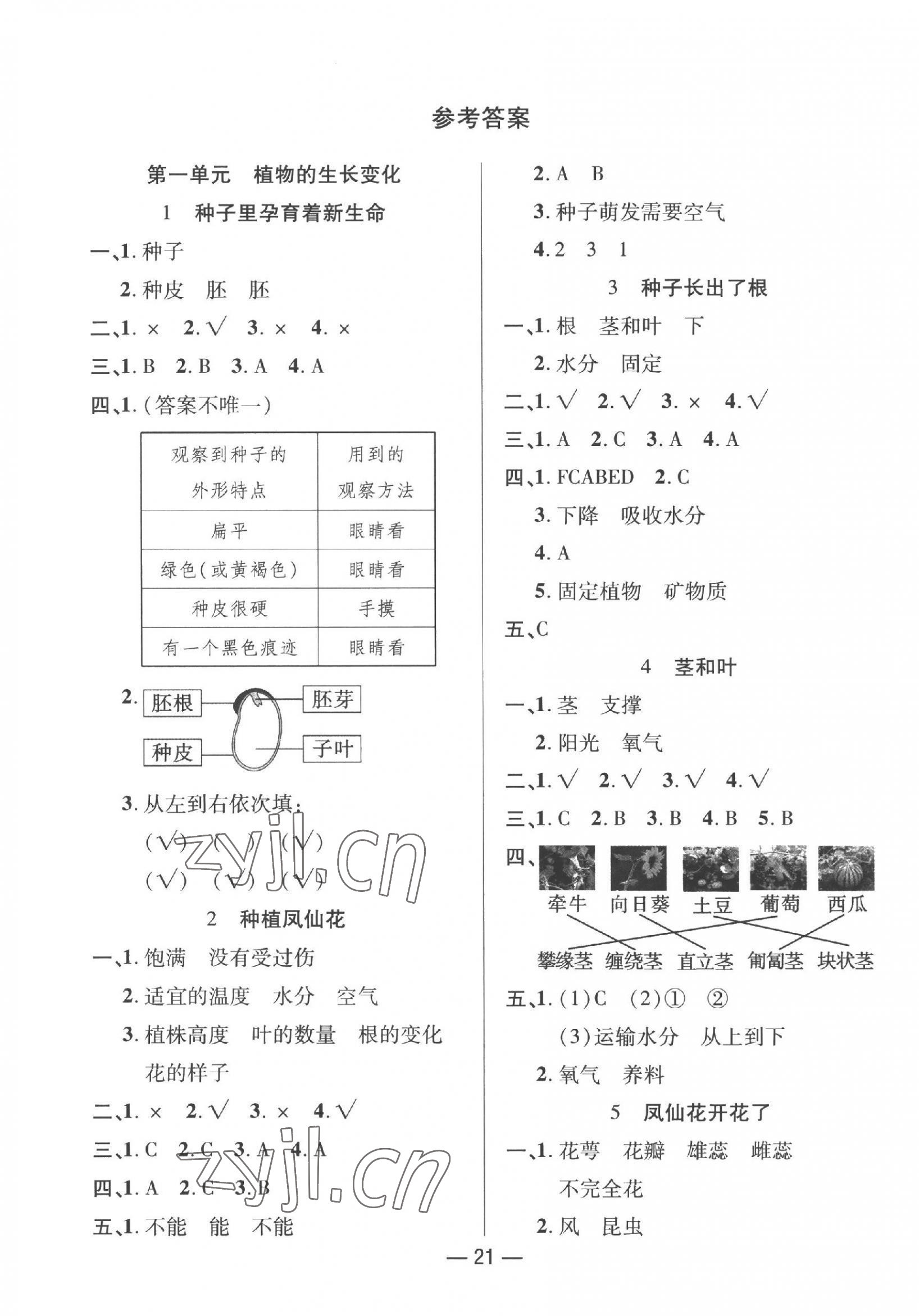 2023年尚學(xué)生香英才天天練四年級(jí)科學(xué)下冊(cè)教科版 第1頁