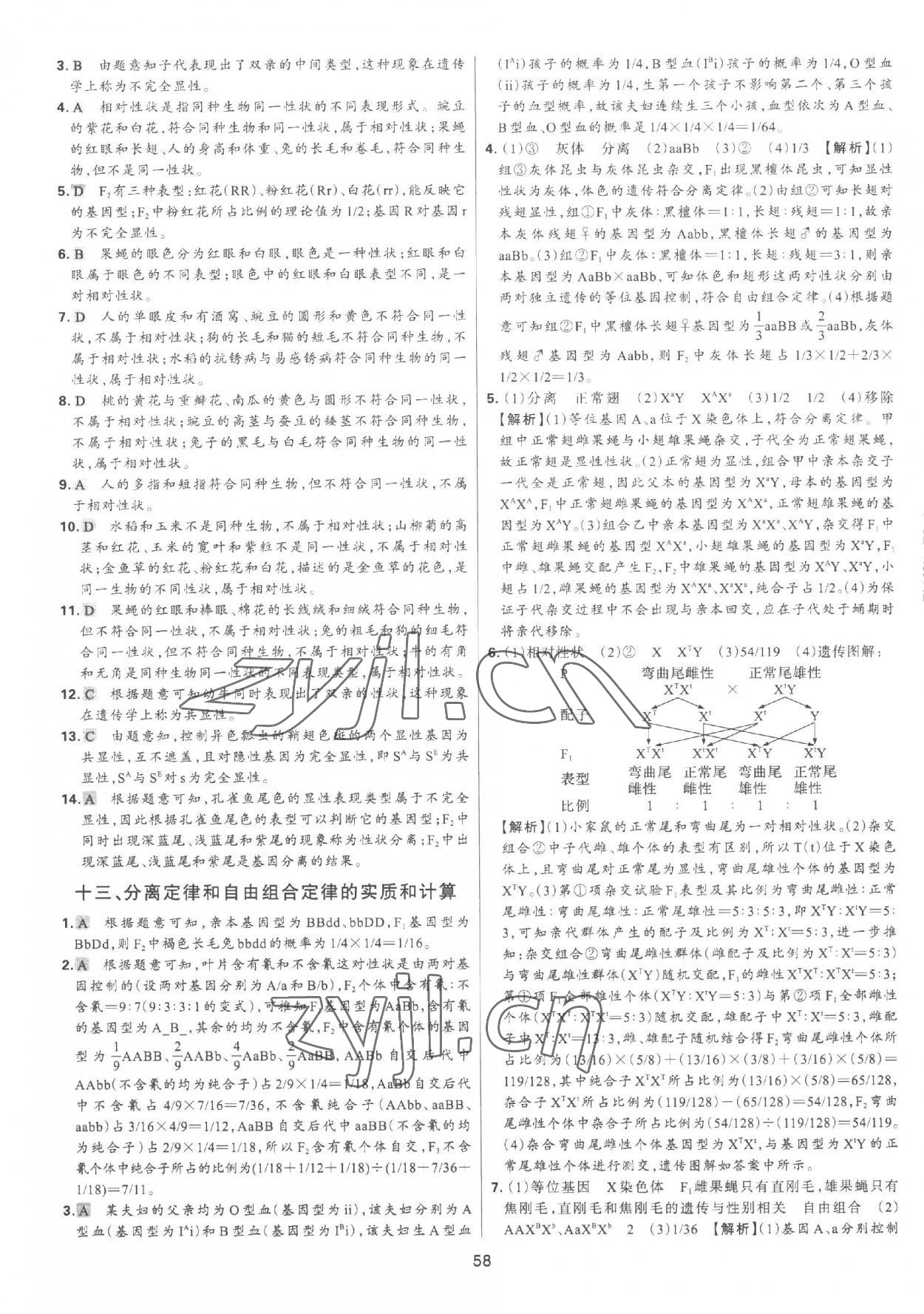 2023年A+起跑線(xiàn)高中生物下冊(cè) 參考答案第7頁(yè)