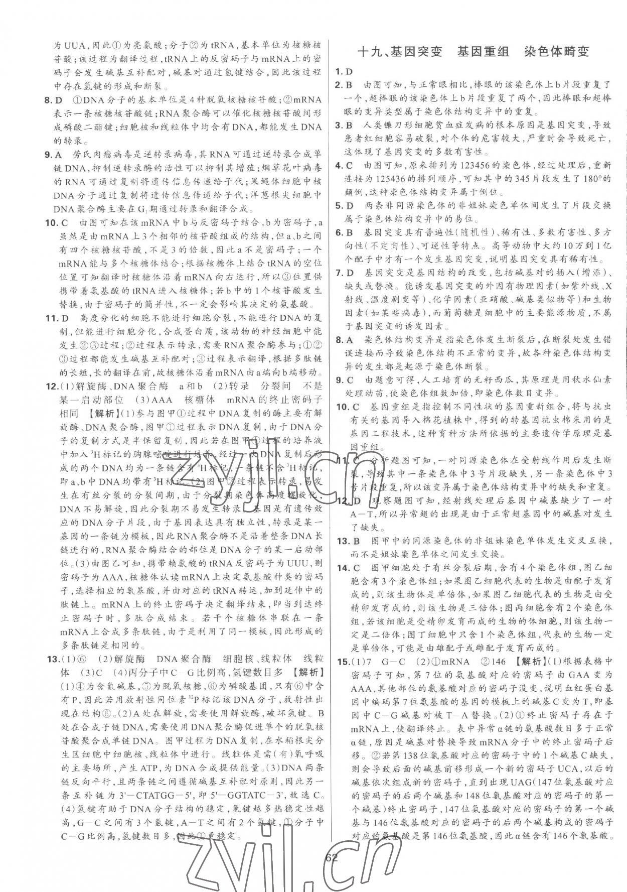 2023年A+起跑線高中生物下冊(cè) 參考答案第11頁