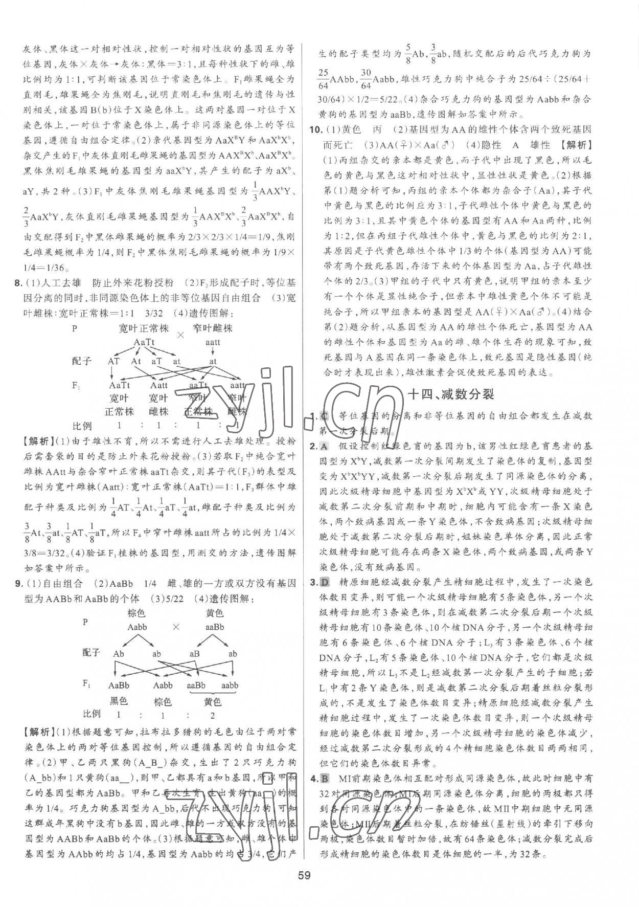 2023年A+起跑線高中生物下冊 參考答案第8頁