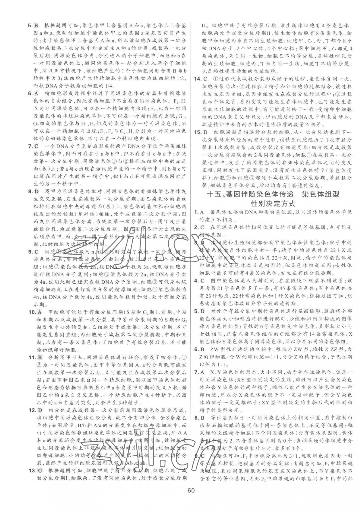 2023年A+起跑線高中生物下冊 參考答案第9頁