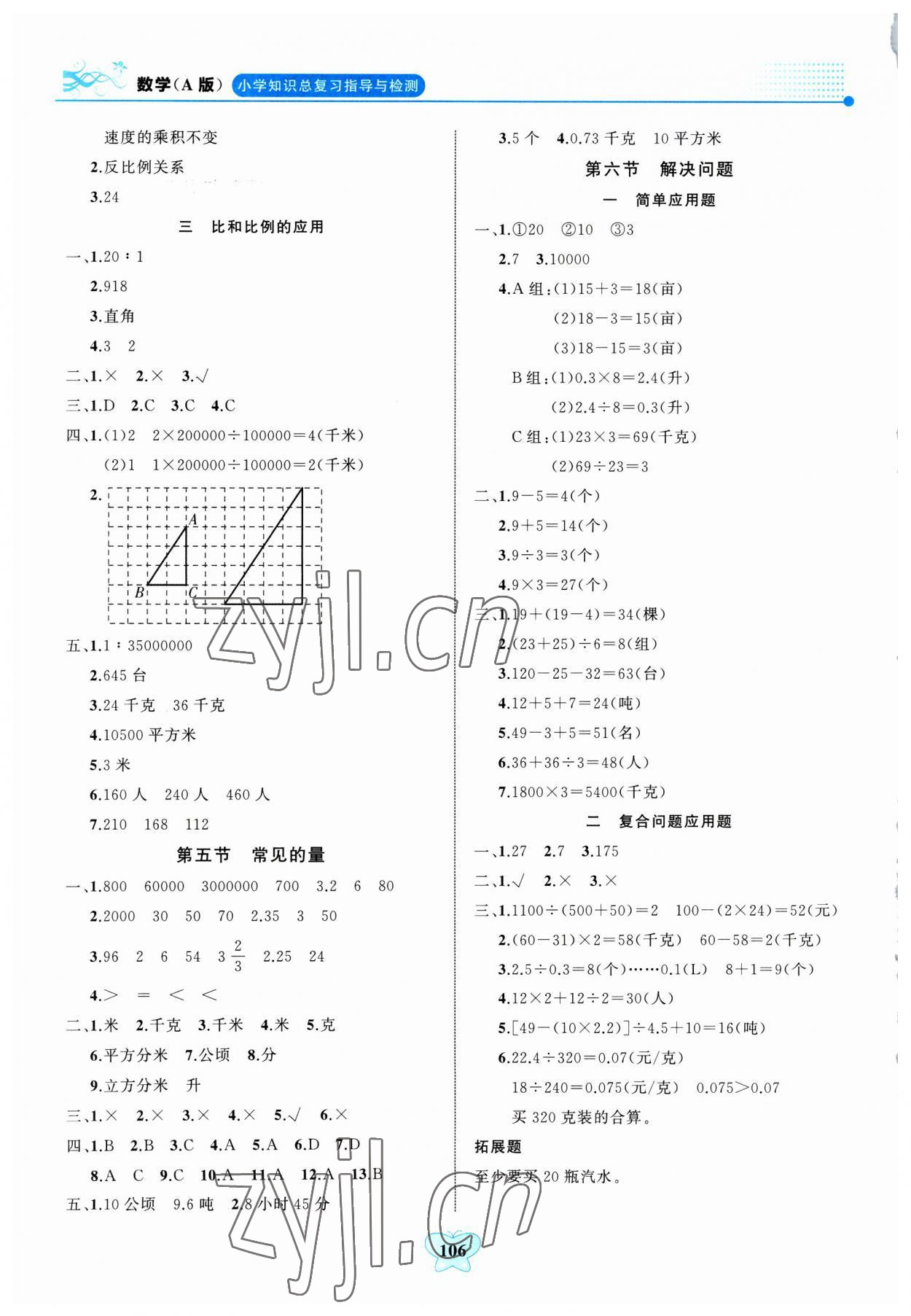 2023年大顯身手小學(xué)知識總復(fù)習(xí)指導(dǎo)與檢測數(shù)學(xué)北師大版A 第4頁