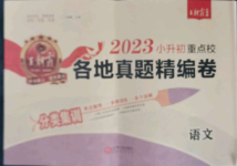 2023年小升初重点校各地真题精编卷语文