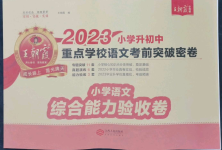 2023年小学升初中重点学校考前突破密卷语文