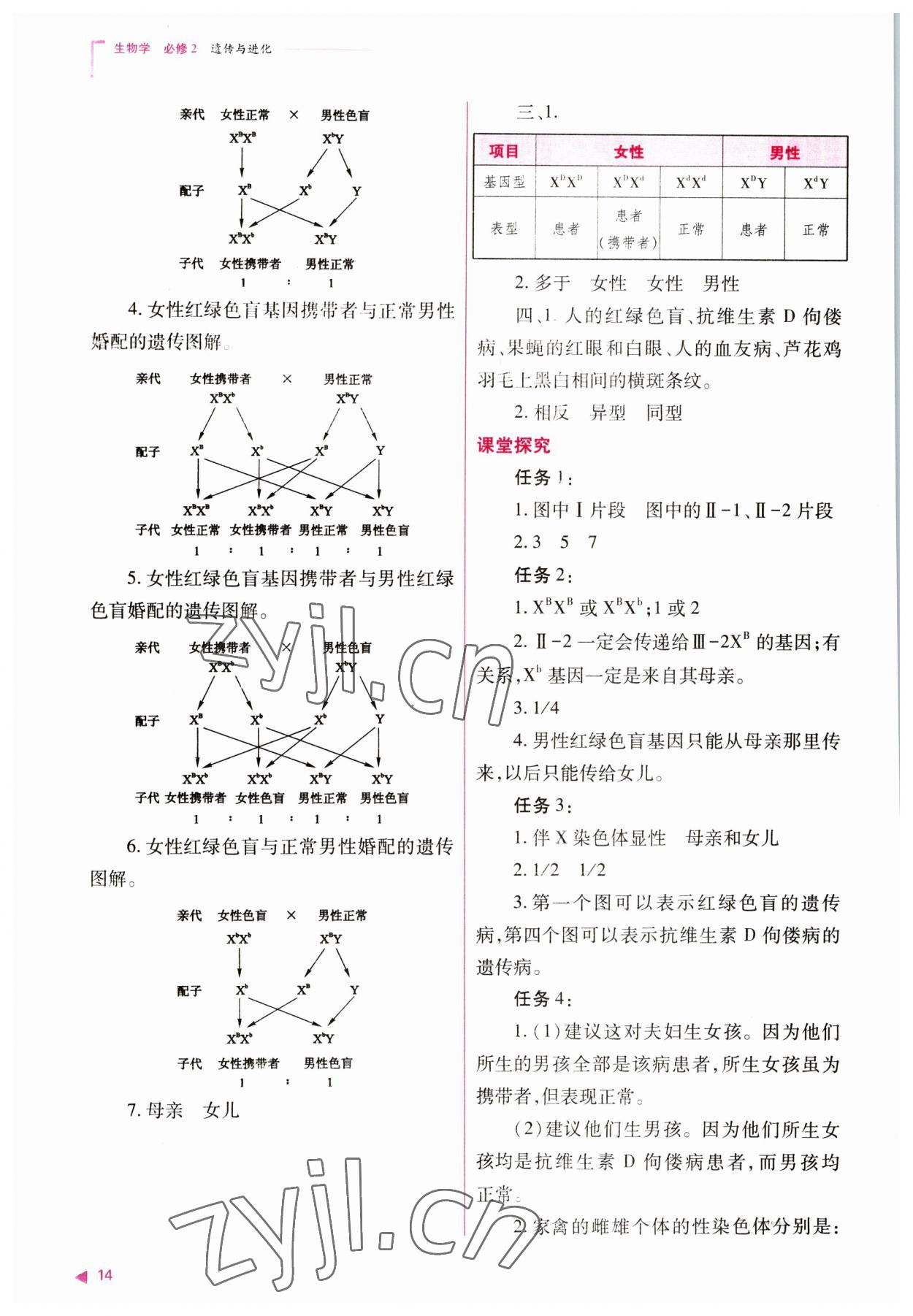 2023年普通高中新課程同步練習(xí)冊高中生物必修2人教版 參考答案第14頁