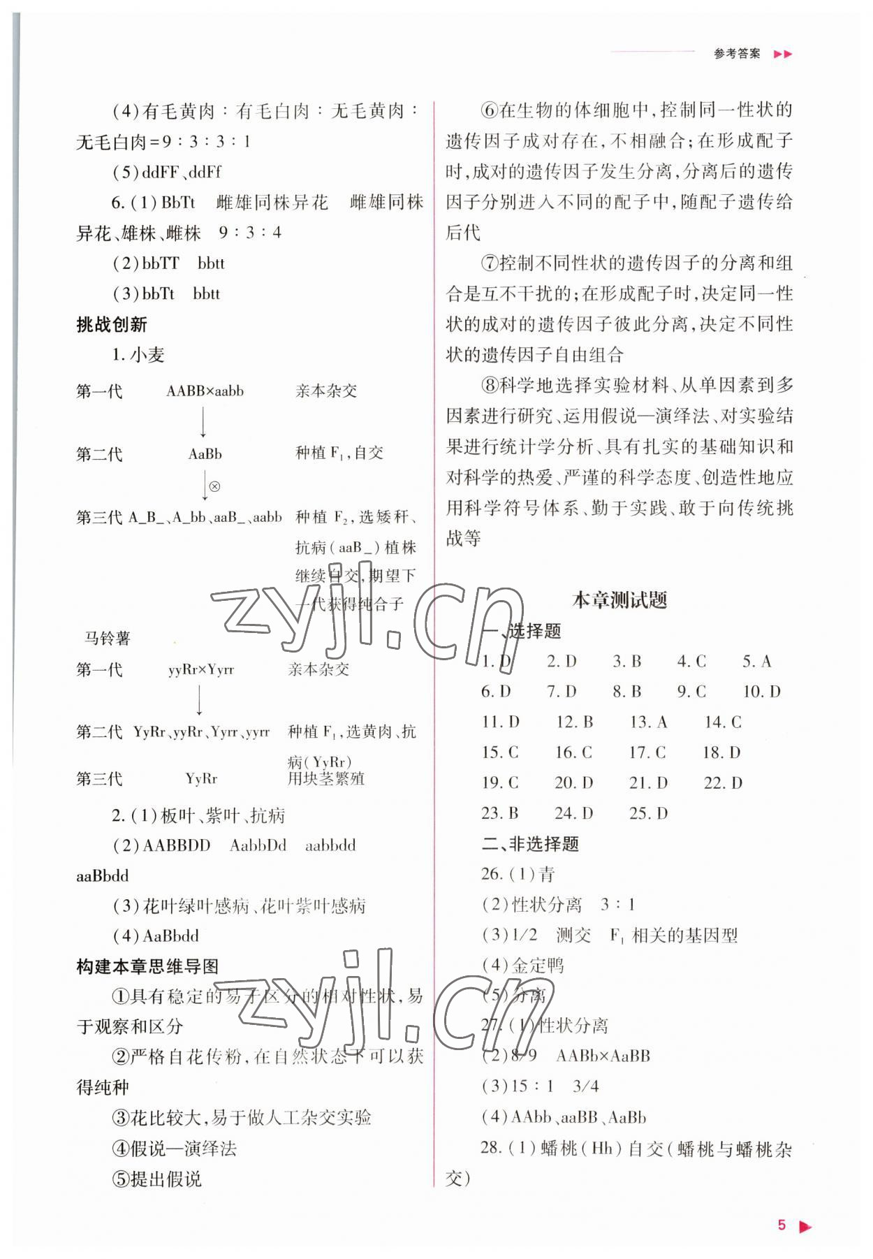 2023年普通高中新課程同步練習(xí)冊高中生物必修2人教版 參考答案第5頁