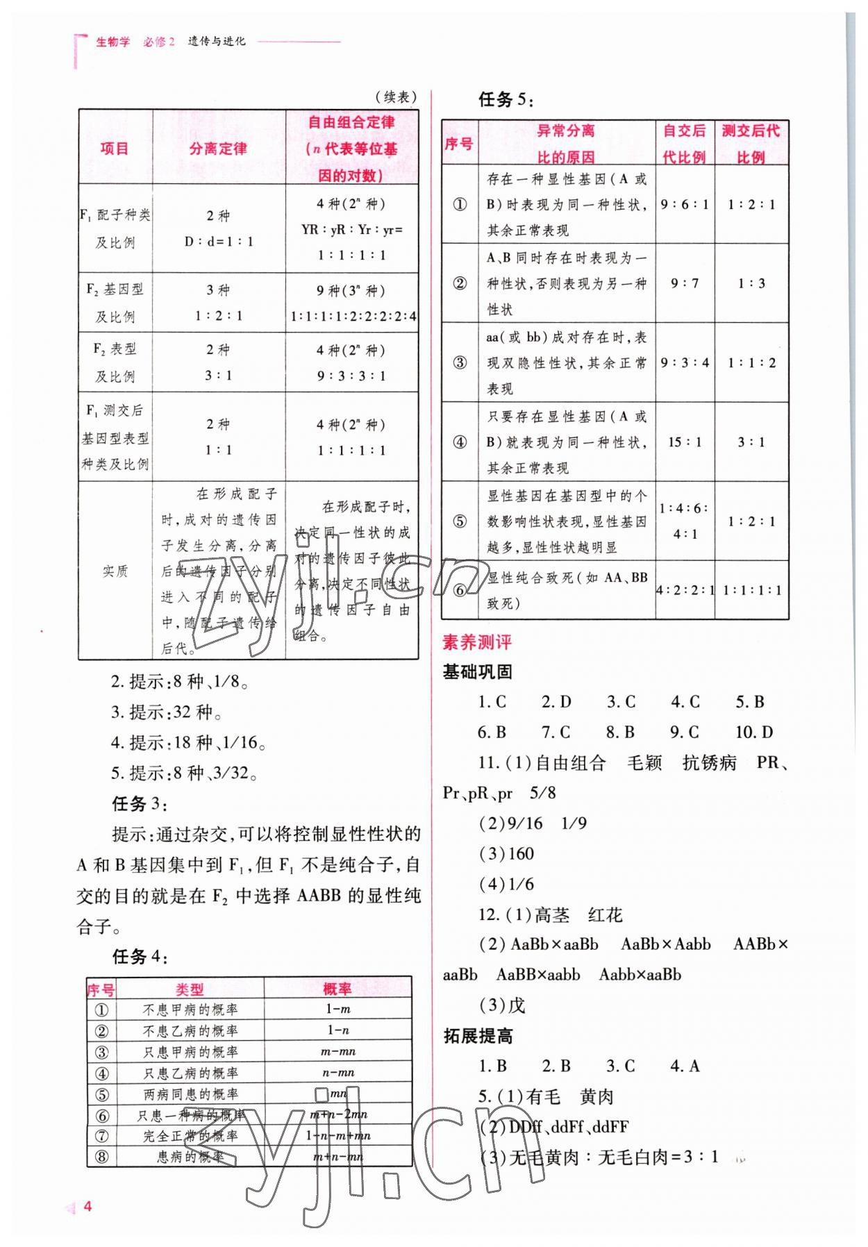 2023年普通高中新課程同步練習冊高中生物必修2人教版 參考答案第4頁