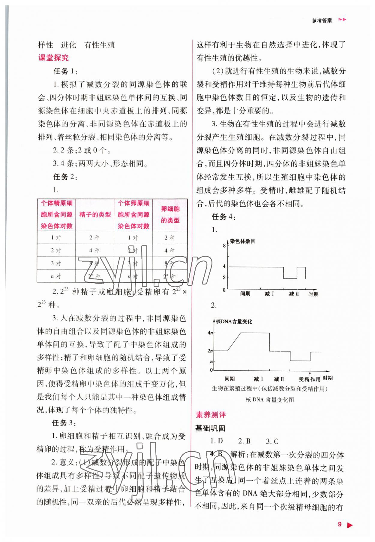 2023年普通高中新课程同步练习册高中生物必修2人教版 参考答案第9页