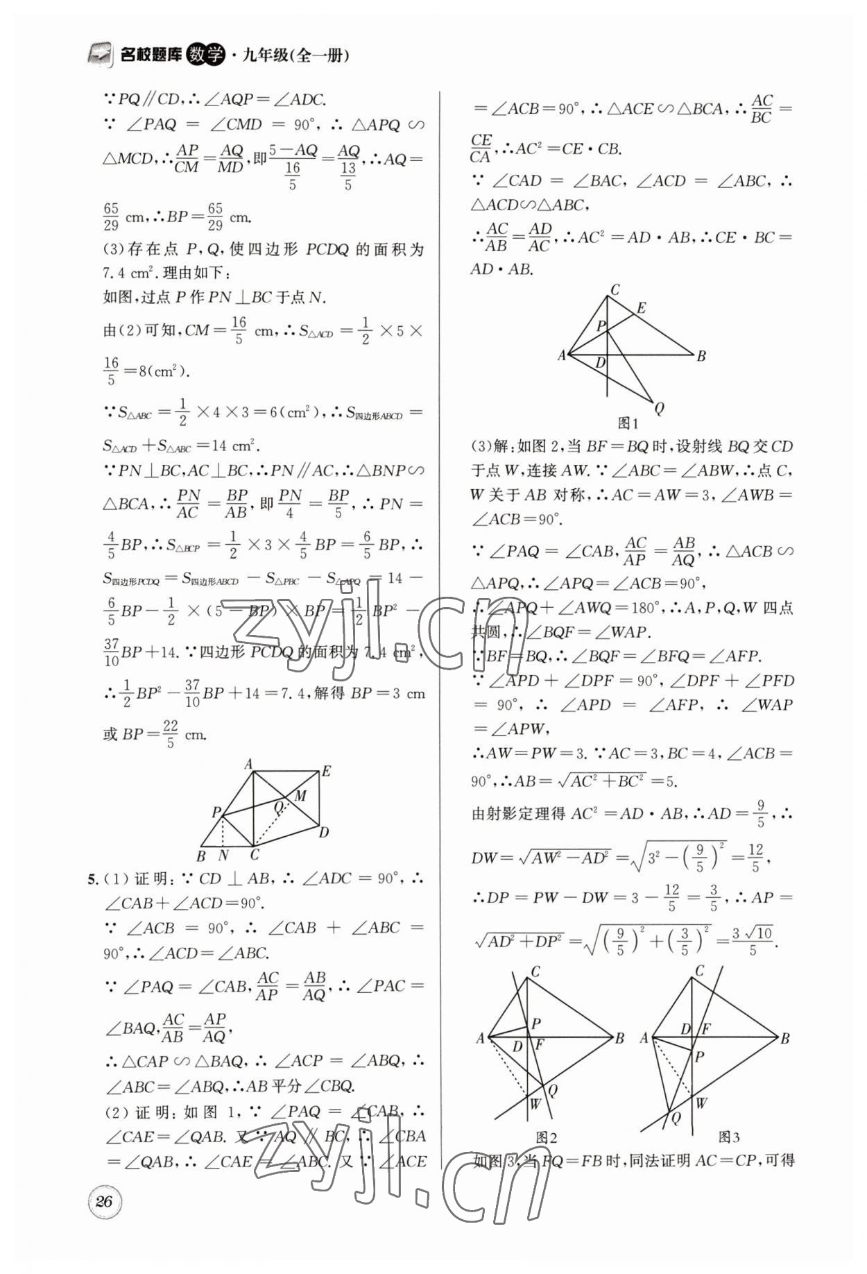 2023年名校題庫(kù)九年級(jí)數(shù)學(xué)全一冊(cè)北師大版 第26頁(yè)