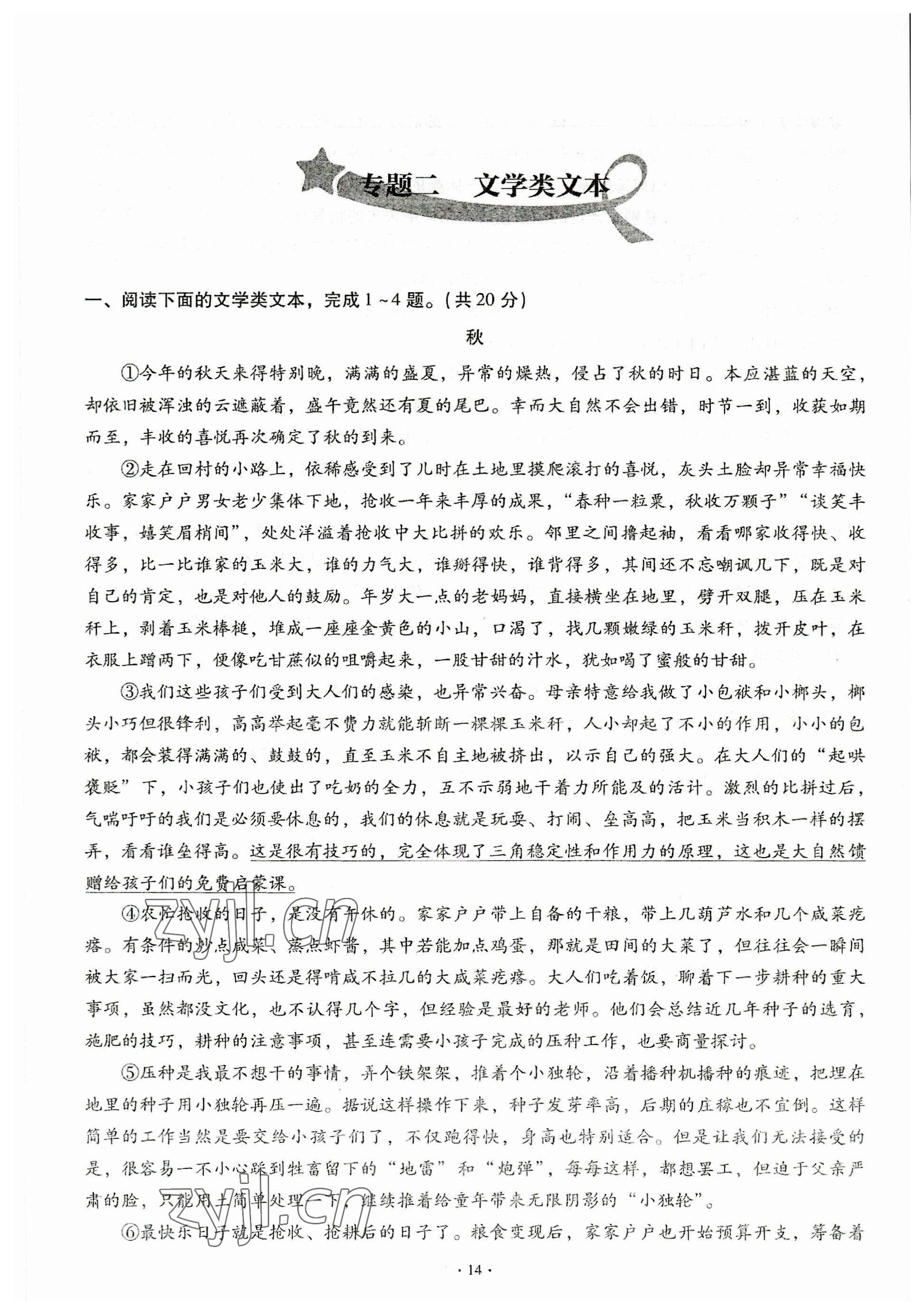2023年全息大語文中考滿分專題練語文 參考答案第14頁