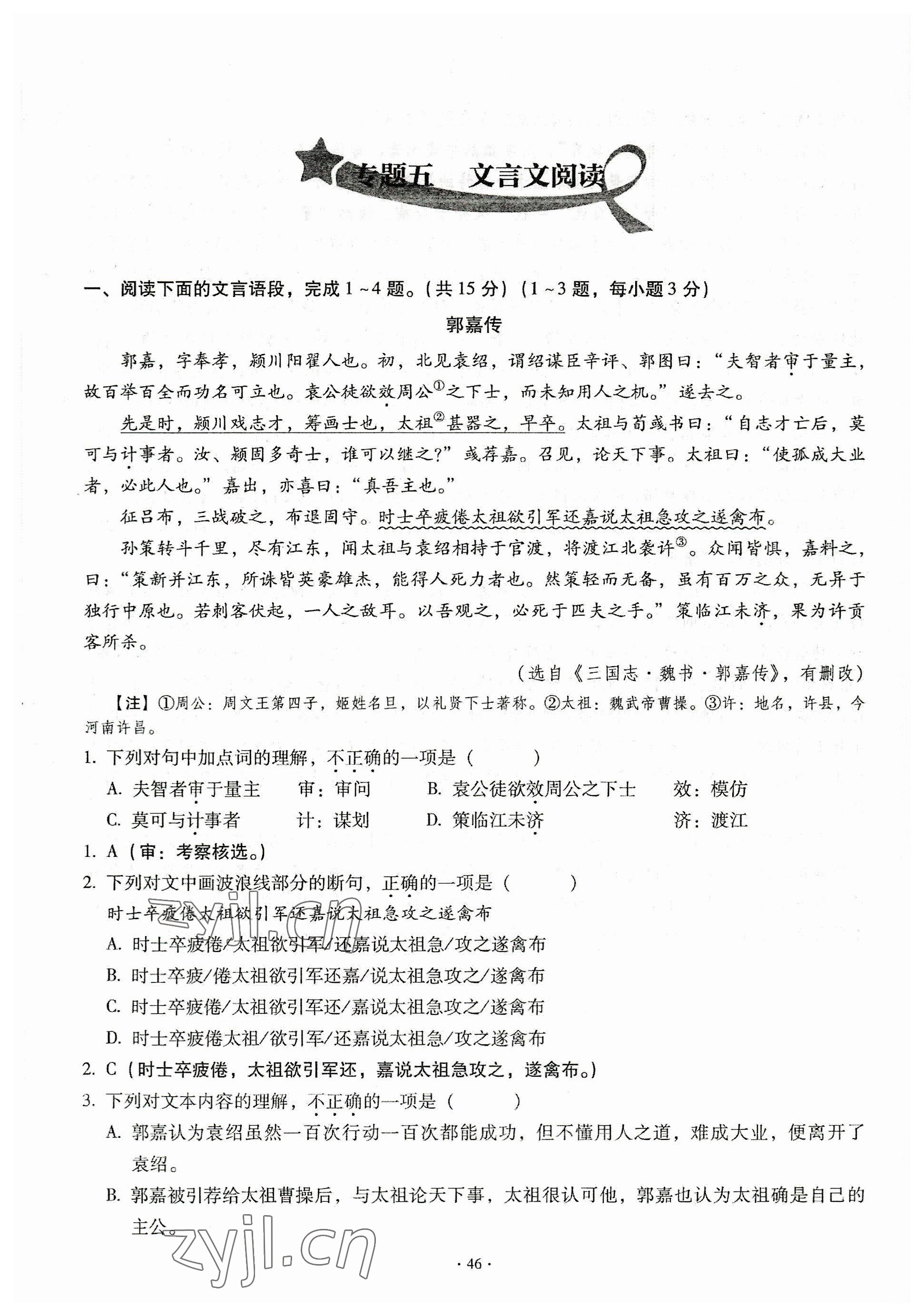 2023年全息大語文中考滿分專題練語文 參考答案第46頁
