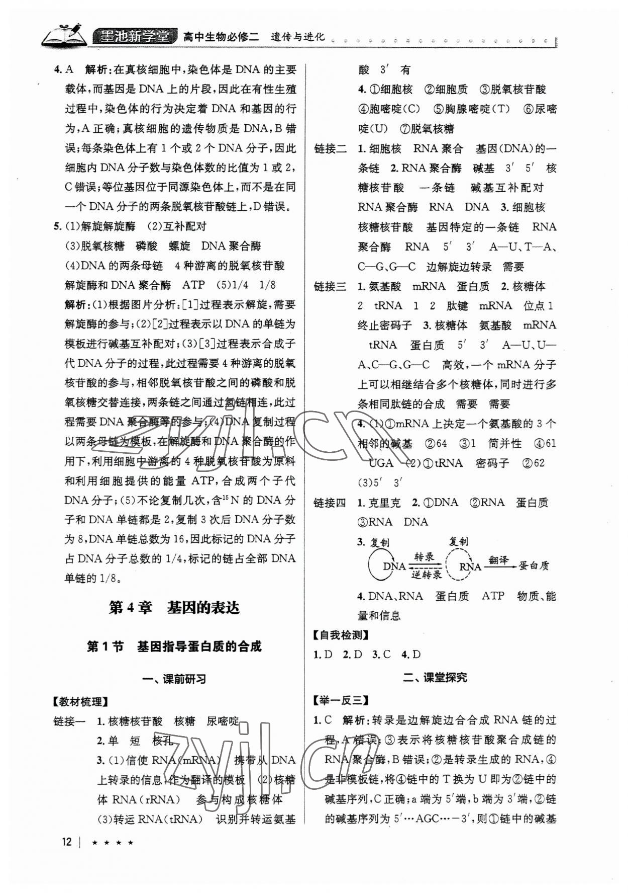 2023年墨池新學堂高中生物必修2人教版 第12頁