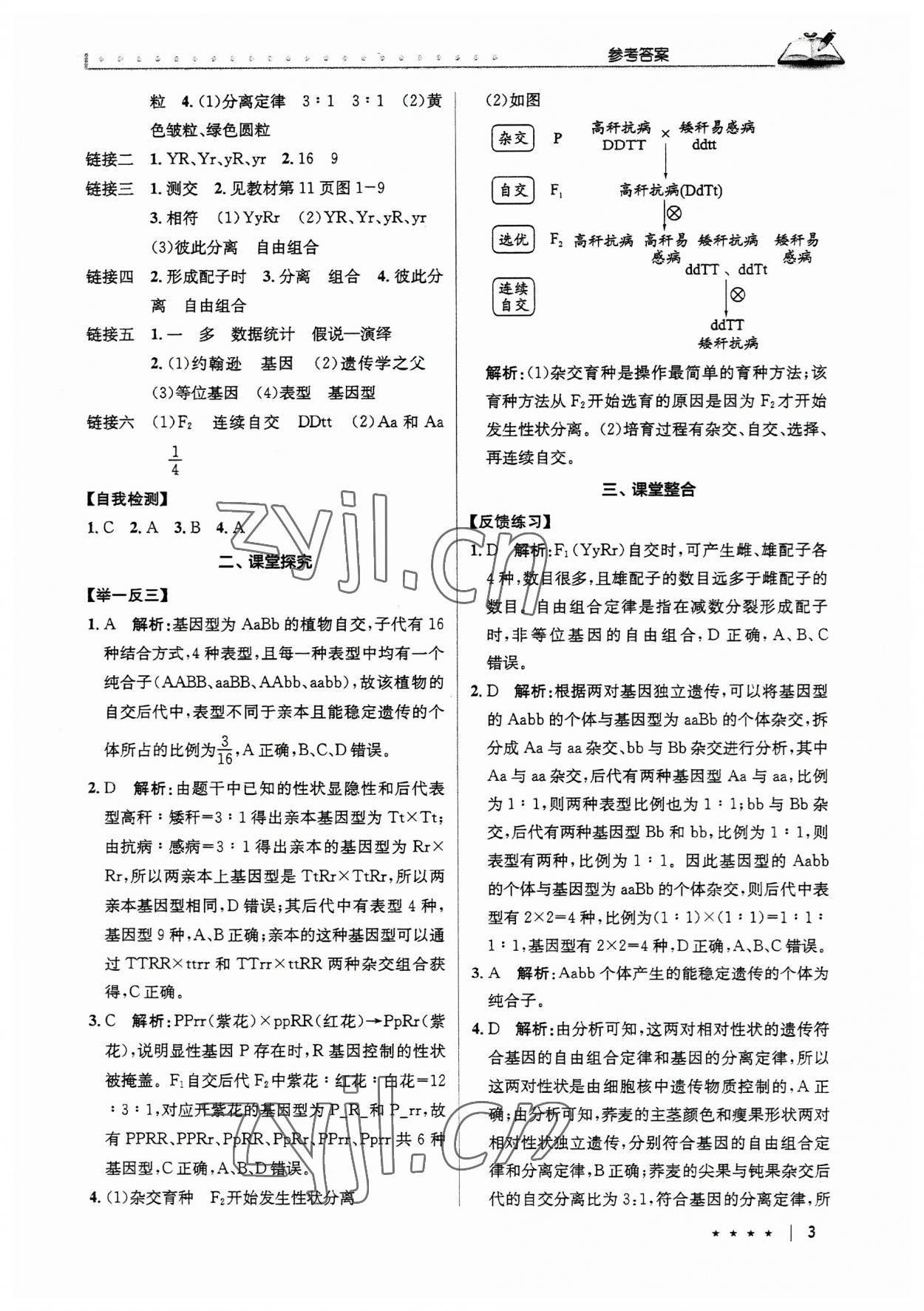 2023年墨池新學(xué)堂高中生物必修2人教版 第3頁