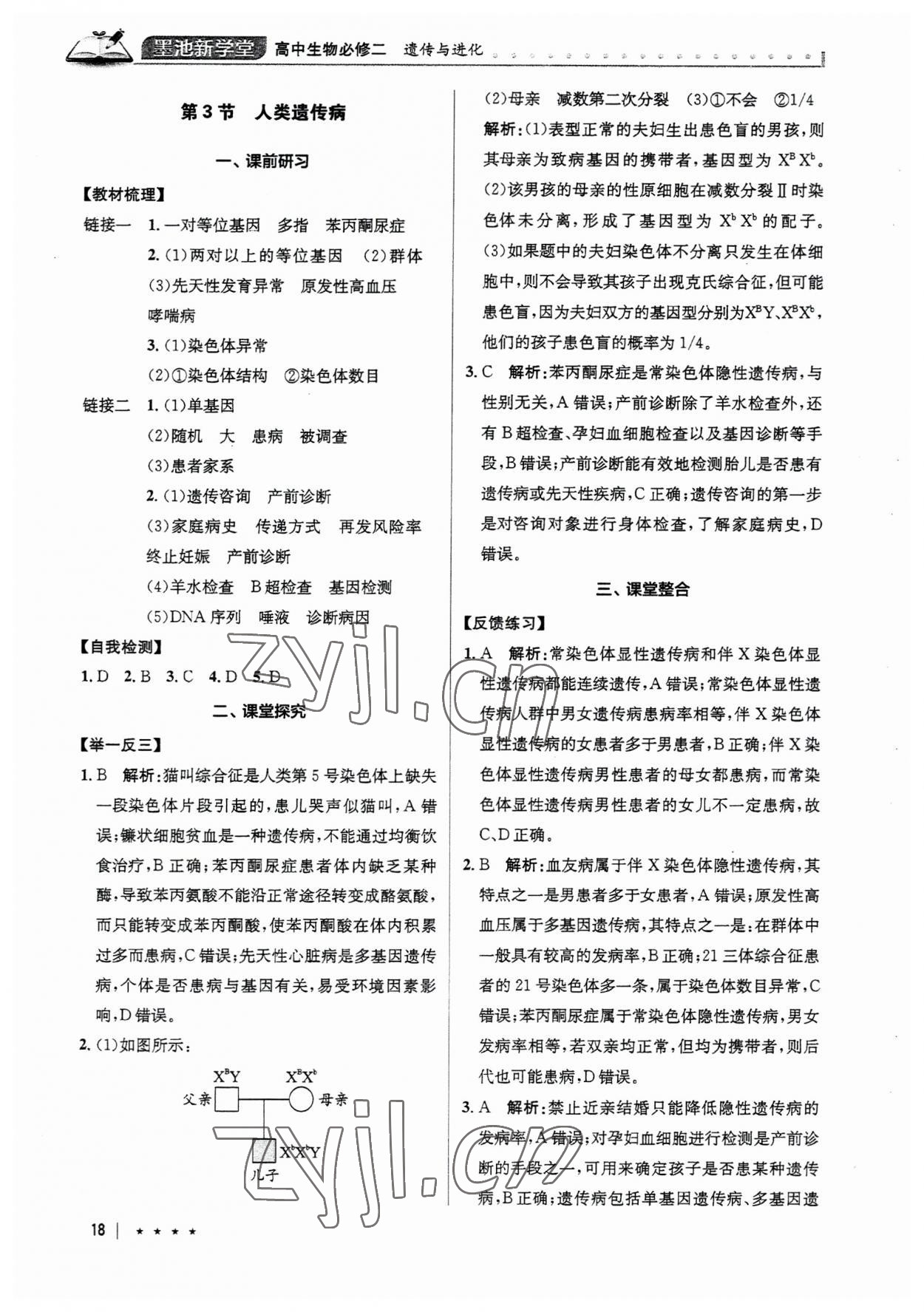 2023年墨池新學(xué)堂高中生物必修2人教版 第18頁