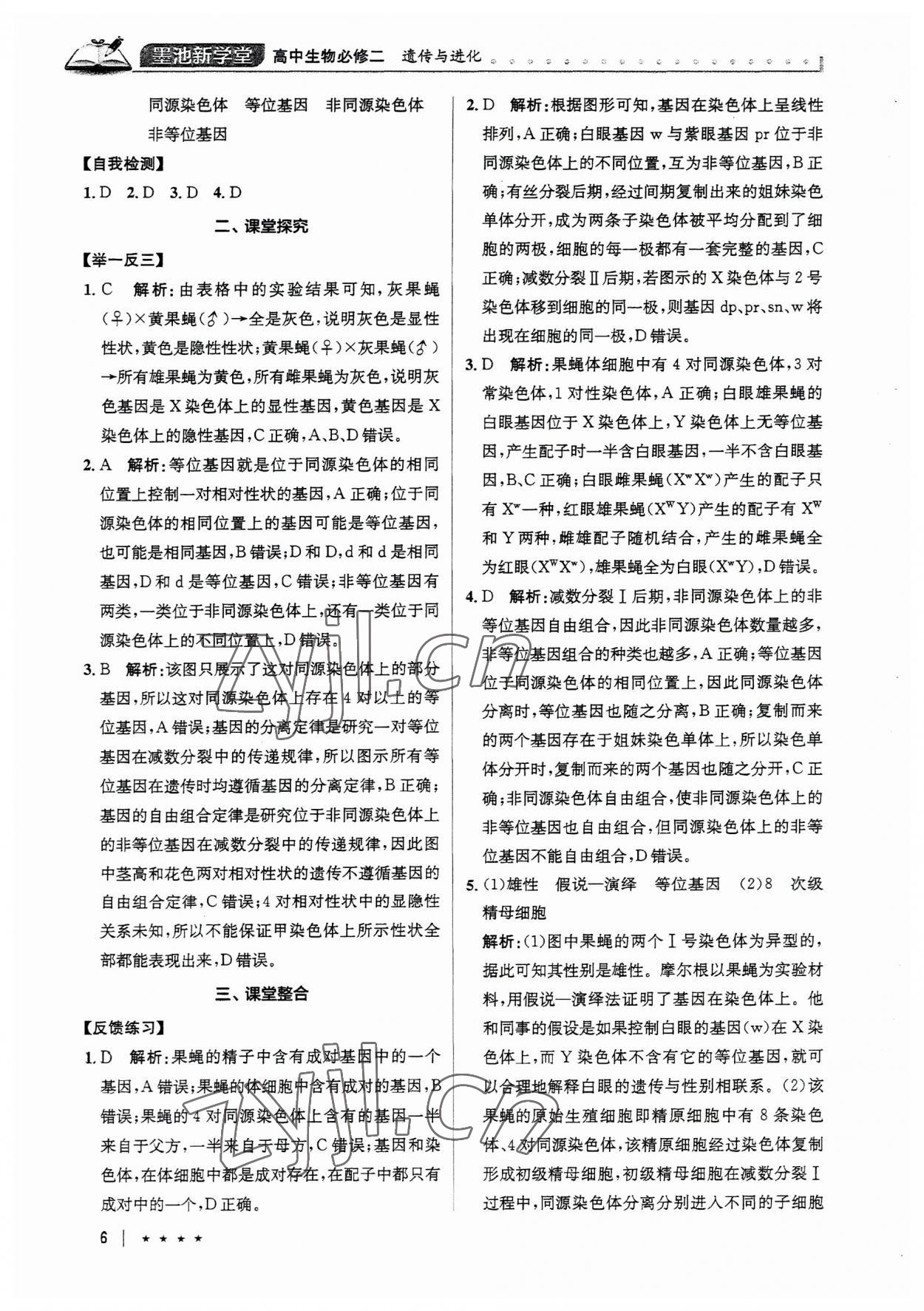 2023年墨池新學(xué)堂高中生物必修2人教版 第6頁