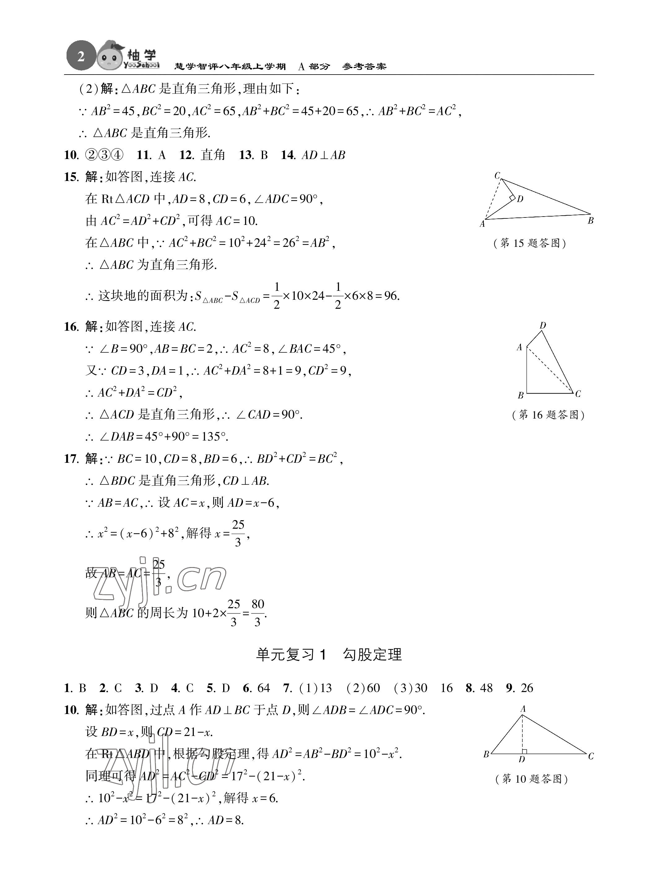 2023年慧學智評八年級數學上冊北師大版 參考答案第2頁