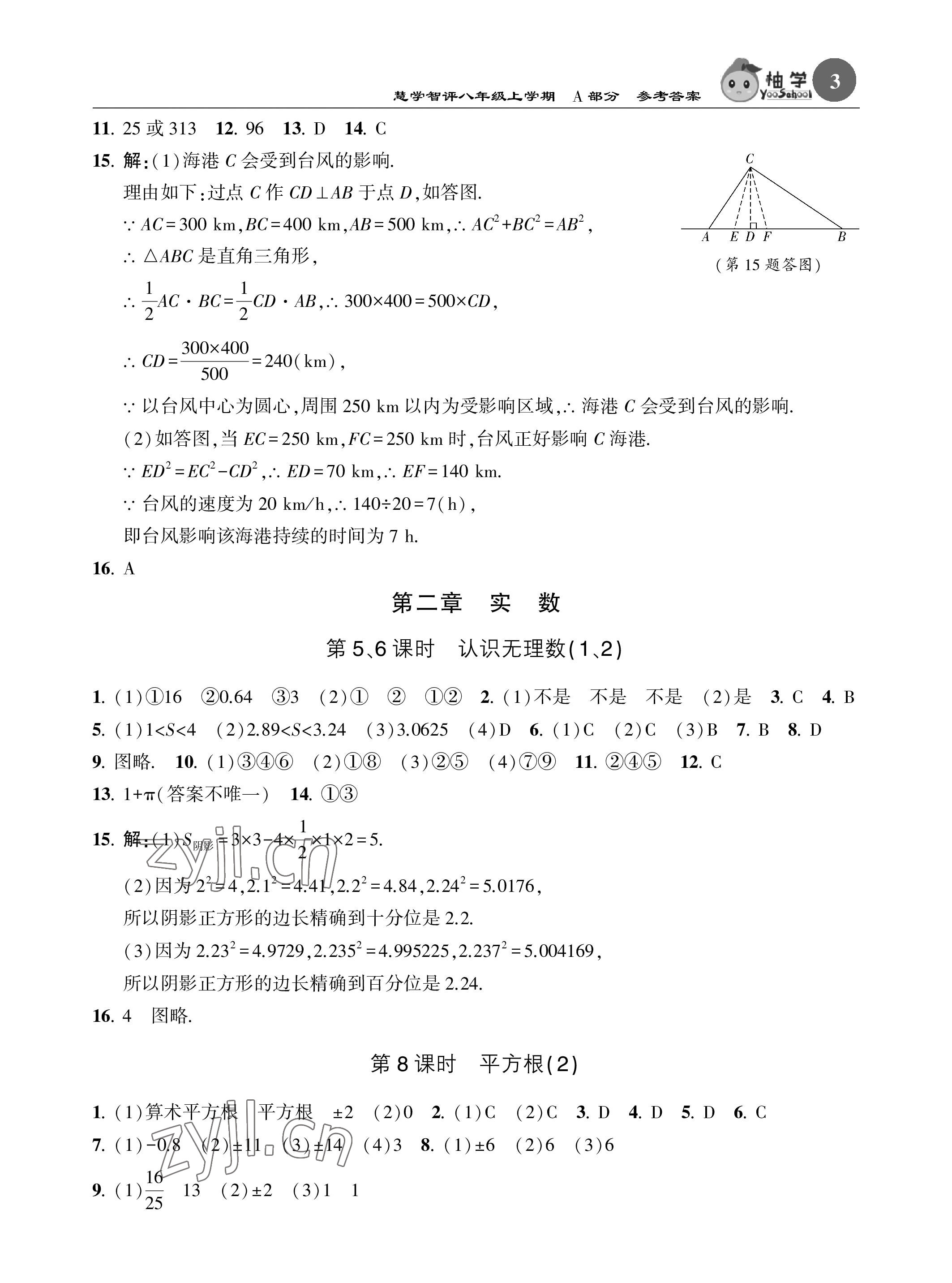 2023年慧學智評八年級數學上冊北師大版 參考答案第3頁