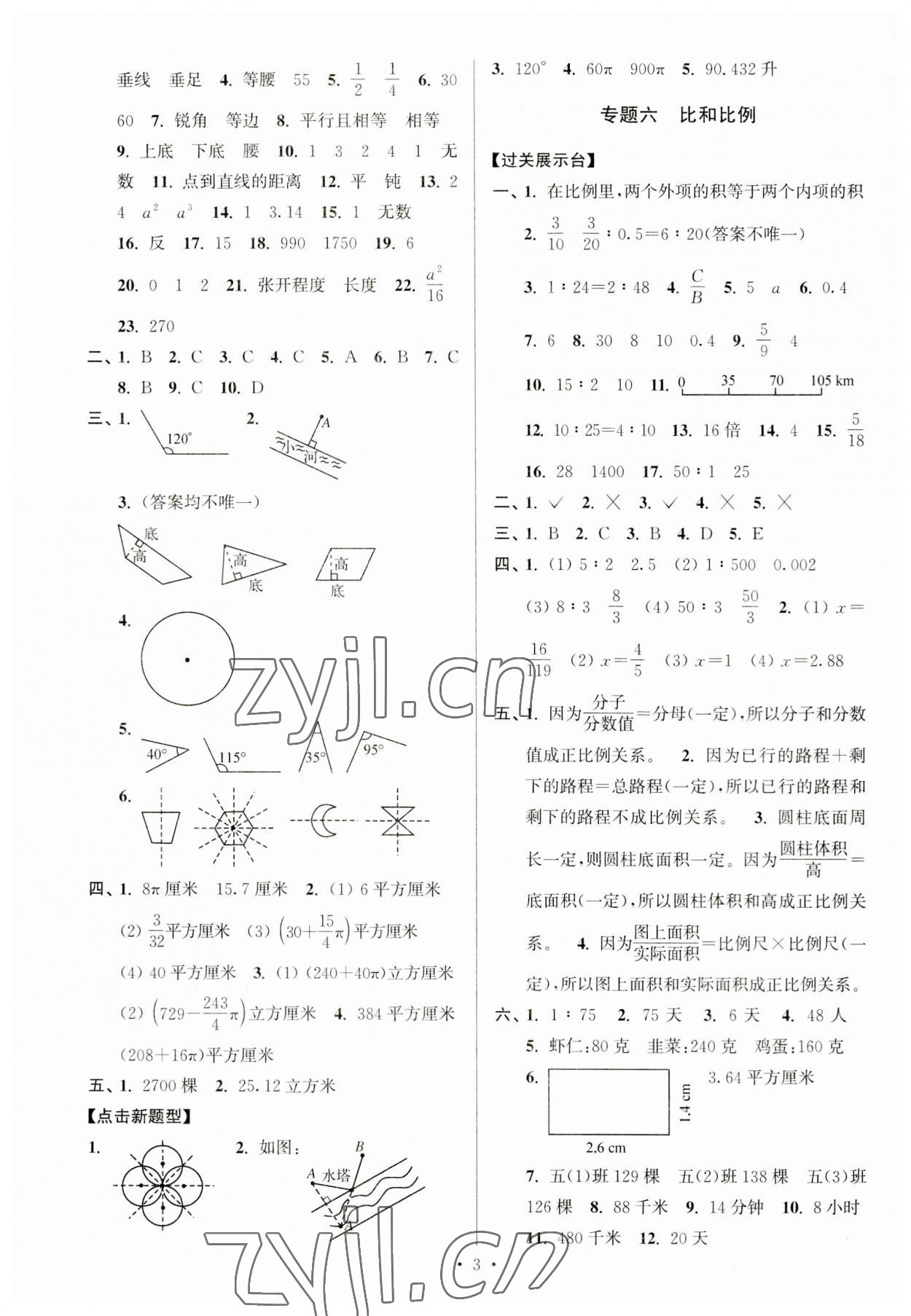 2023年自主创新作业小学毕业总复习一本通数学江苏版 第3页