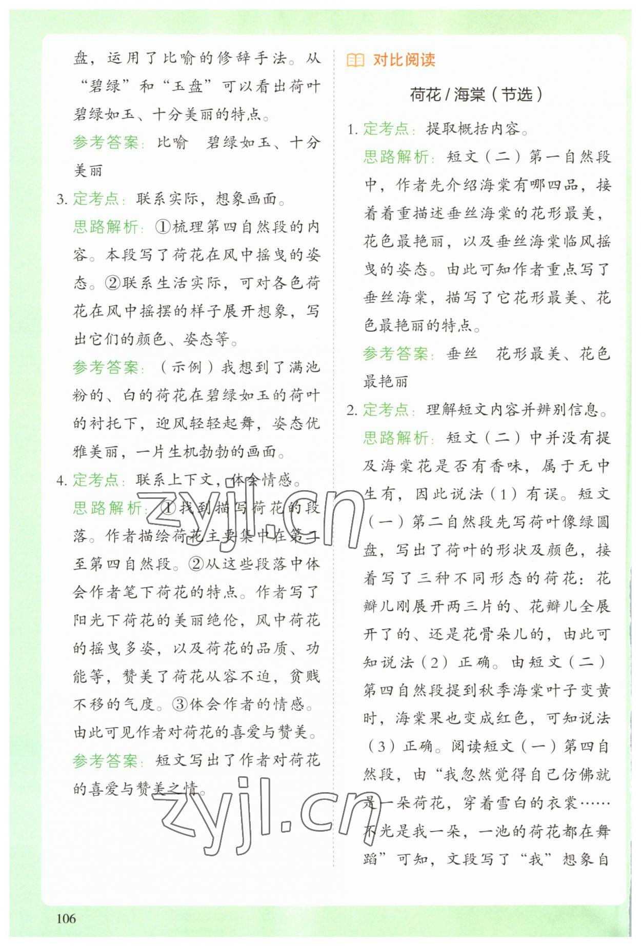 2023年閱讀理解與答題模板三年級語文下冊人教版 參考答案第3頁