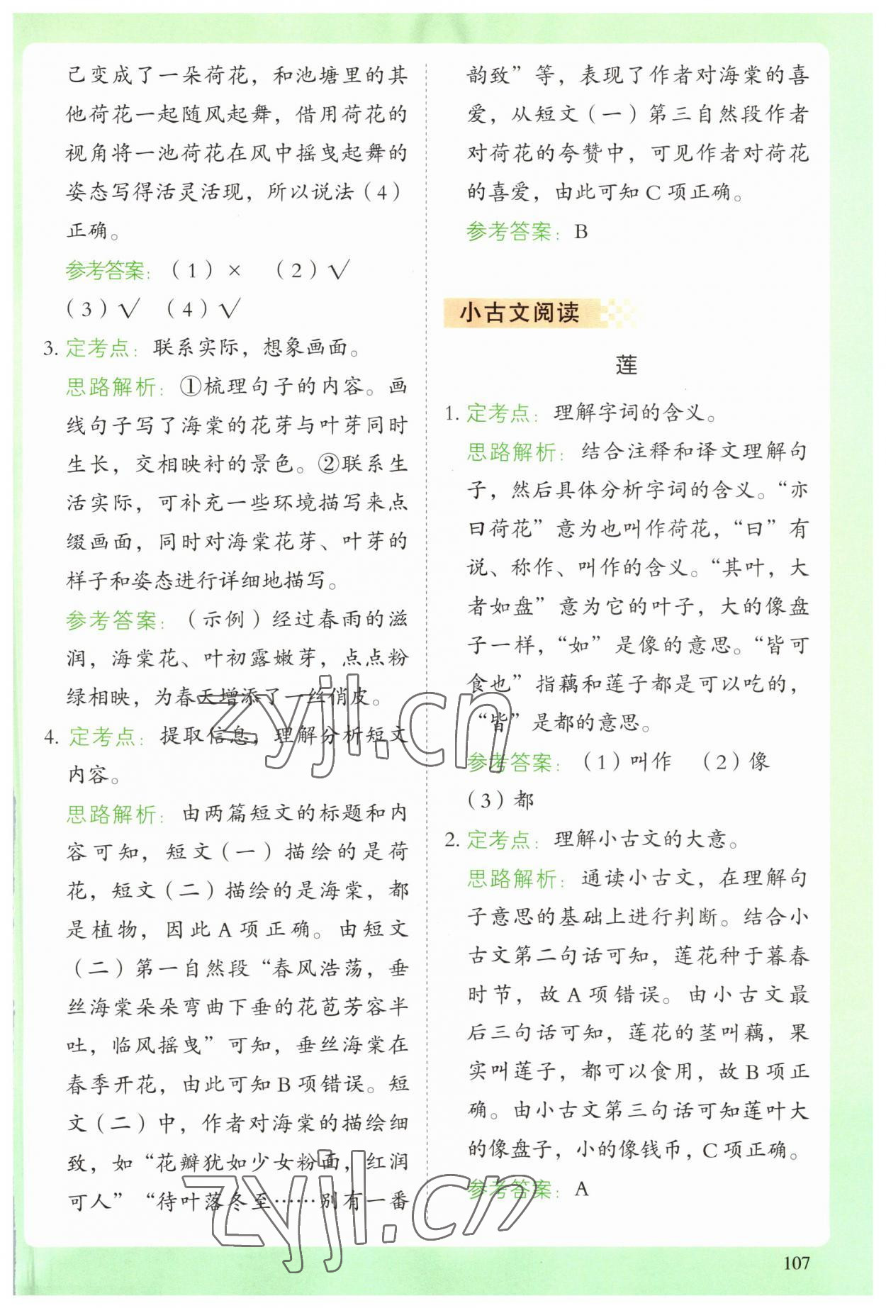 2023年閱讀理解與答題模板三年級語文下冊人教版 參考答案第4頁