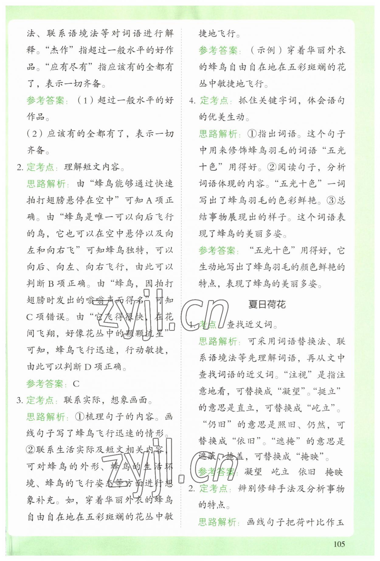 2023年閱讀理解與答題模板三年級語文下冊人教版 參考答案第2頁