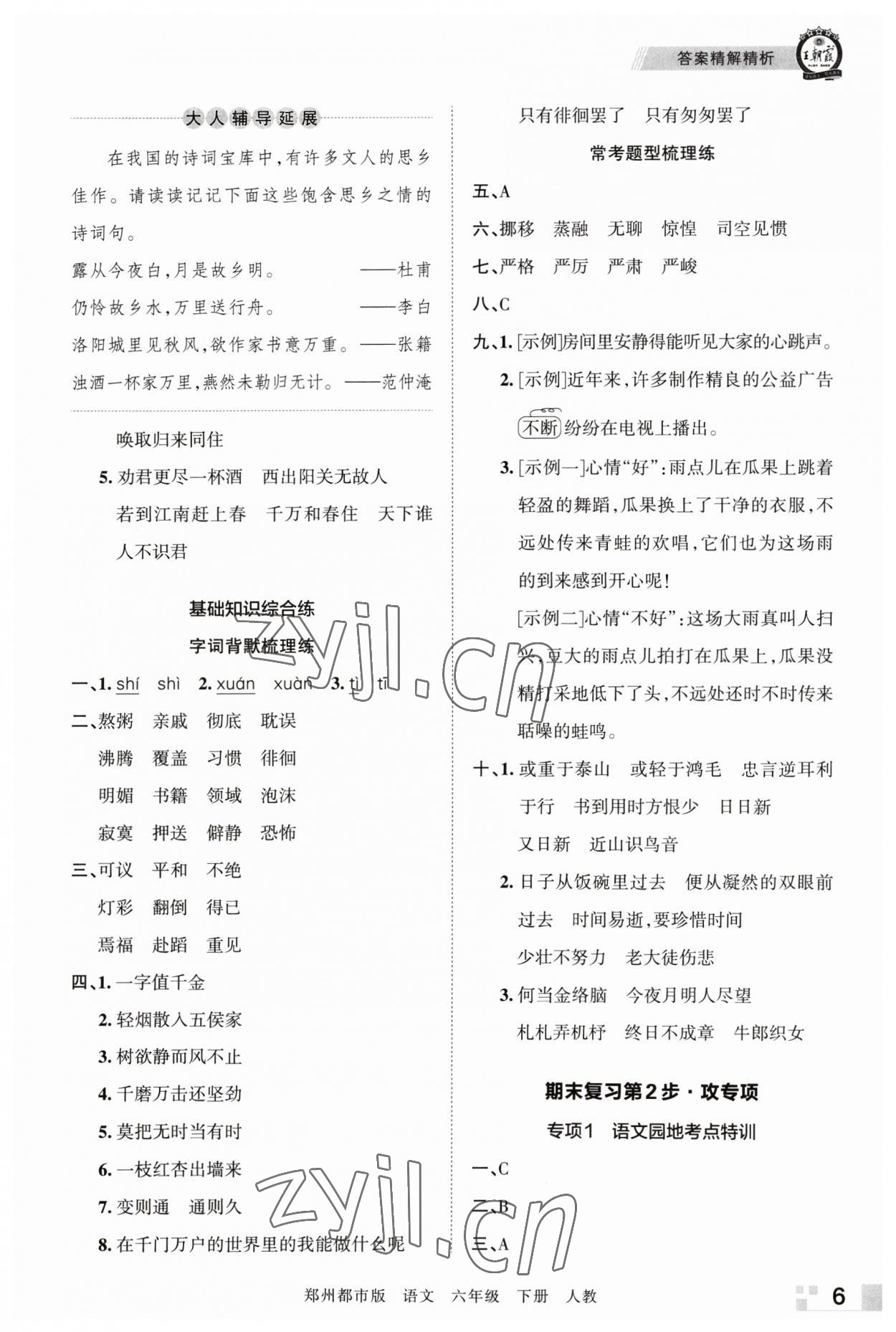 2023年王朝霞期末真题精编六年级语文下册人教版郑州专版 参考答案第6页