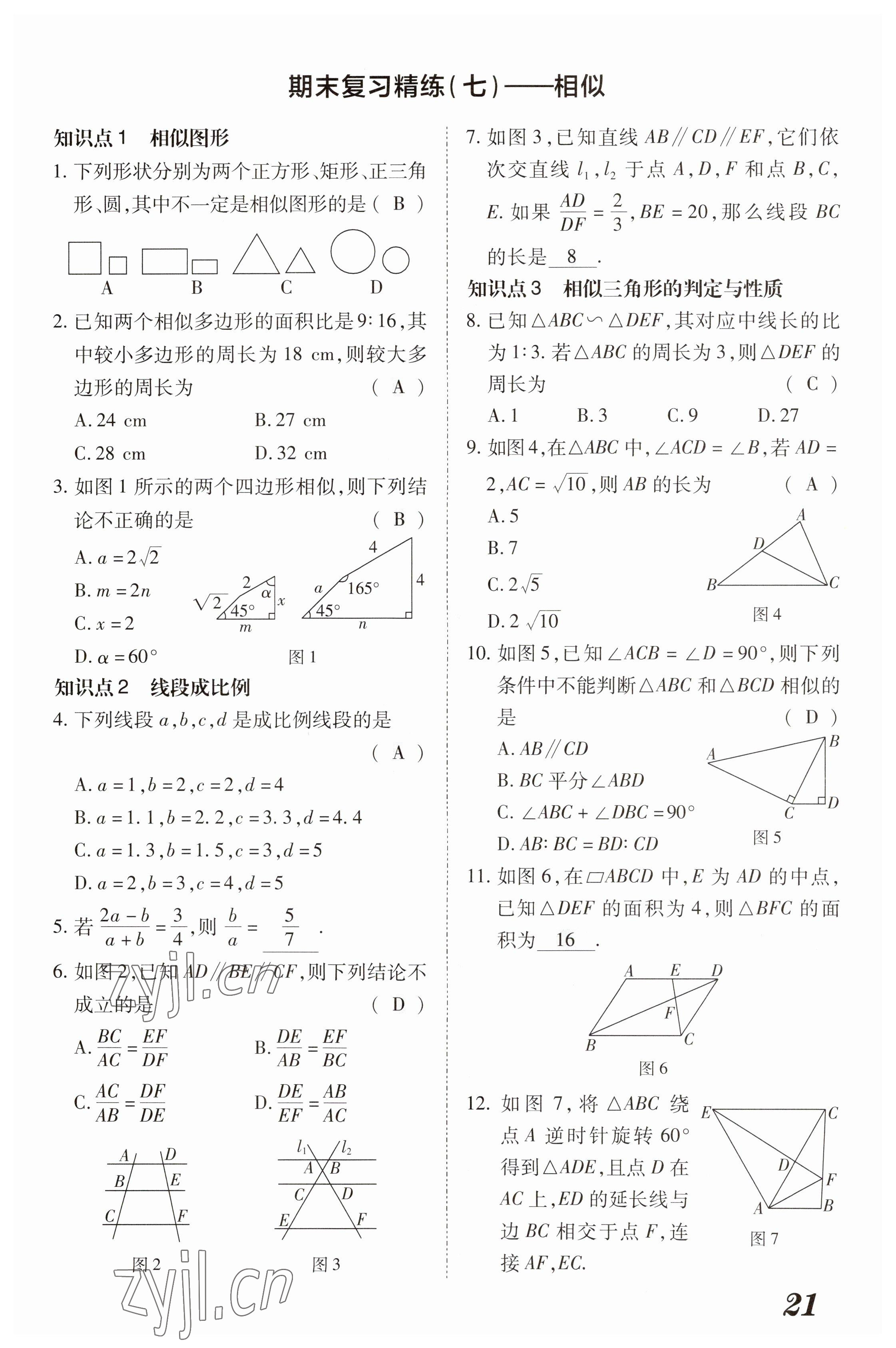 2023年領(lǐng)跑作業(yè)本九年級數(shù)學(xué)全一冊人教版 參考答案第100頁