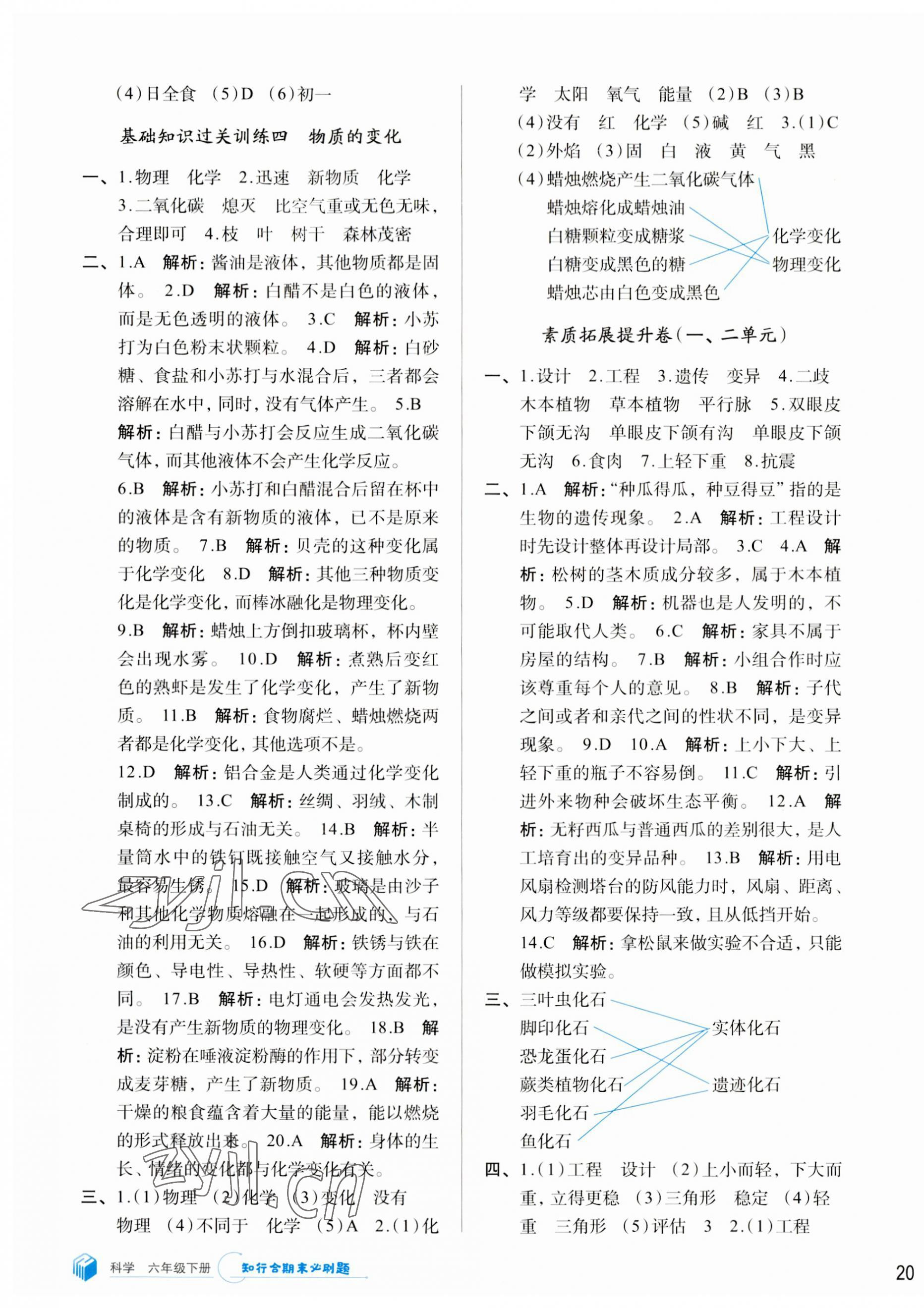 2023年知行合期末必刷題六年級(jí)科學(xué)下冊(cè)教科版 參考答案第3頁(yè)