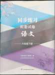 2023年同步練習(xí)配套試卷六年級語文下冊人教版