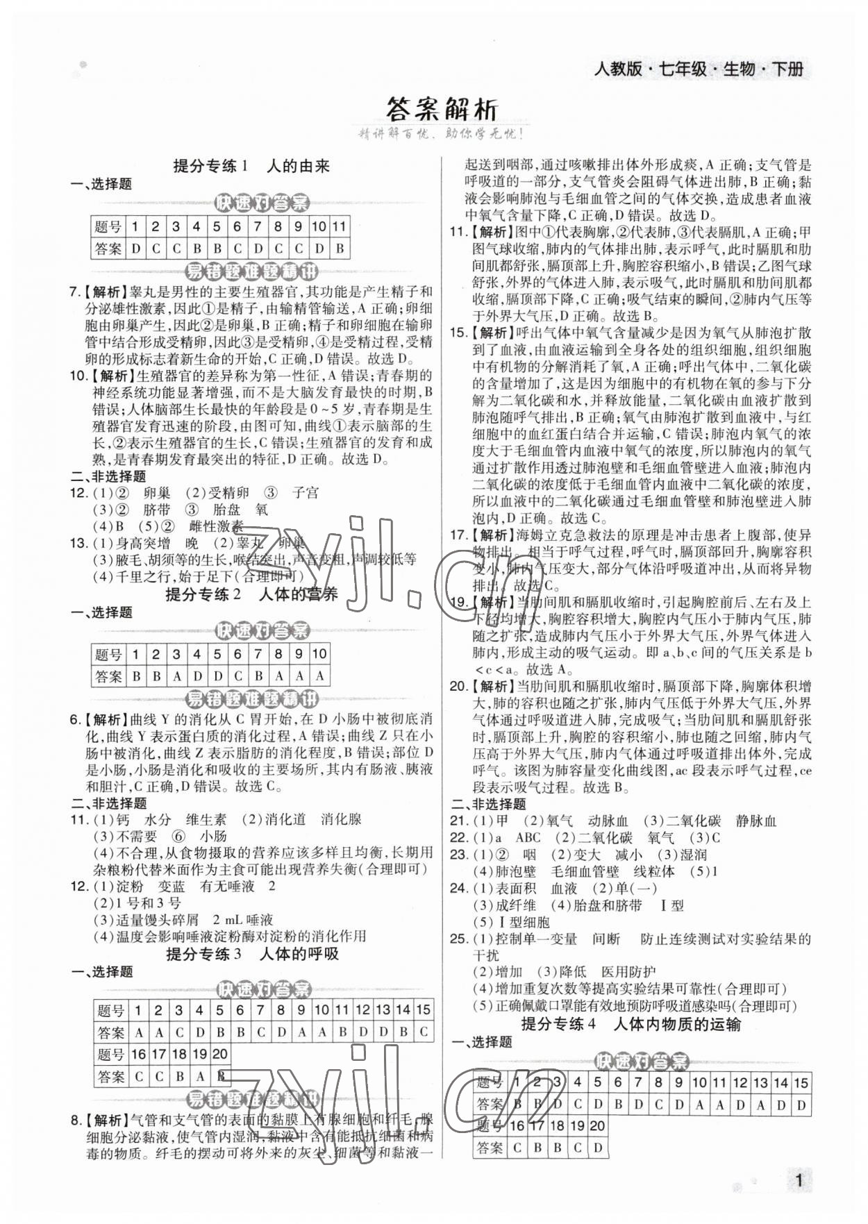 2023年期末考試必刷卷七年級生物下冊人教版河南專版 第1頁