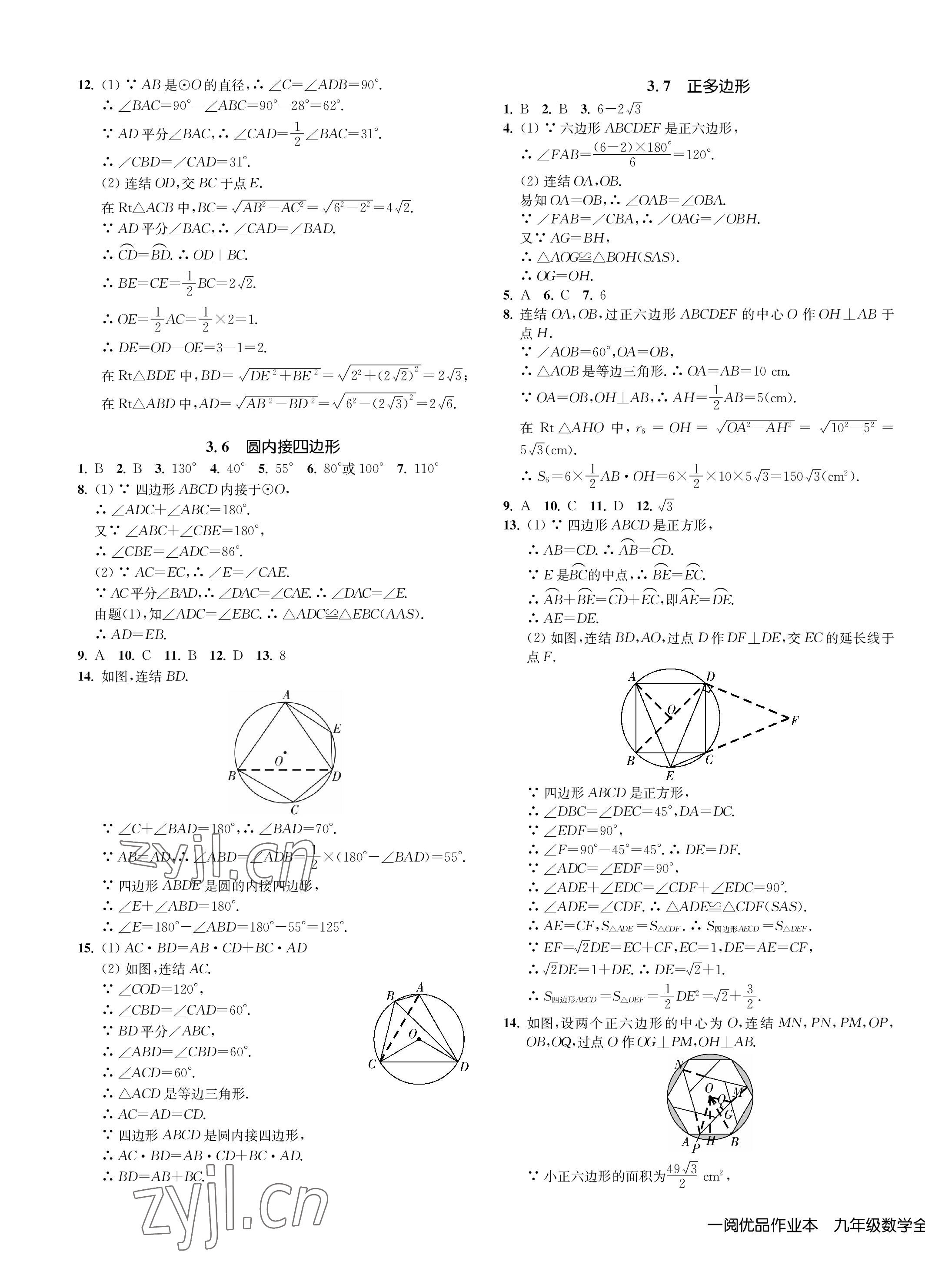 2023年一閱優(yōu)品作業(yè)本九年級(jí)數(shù)學(xué)全一冊(cè)浙教版 第13頁