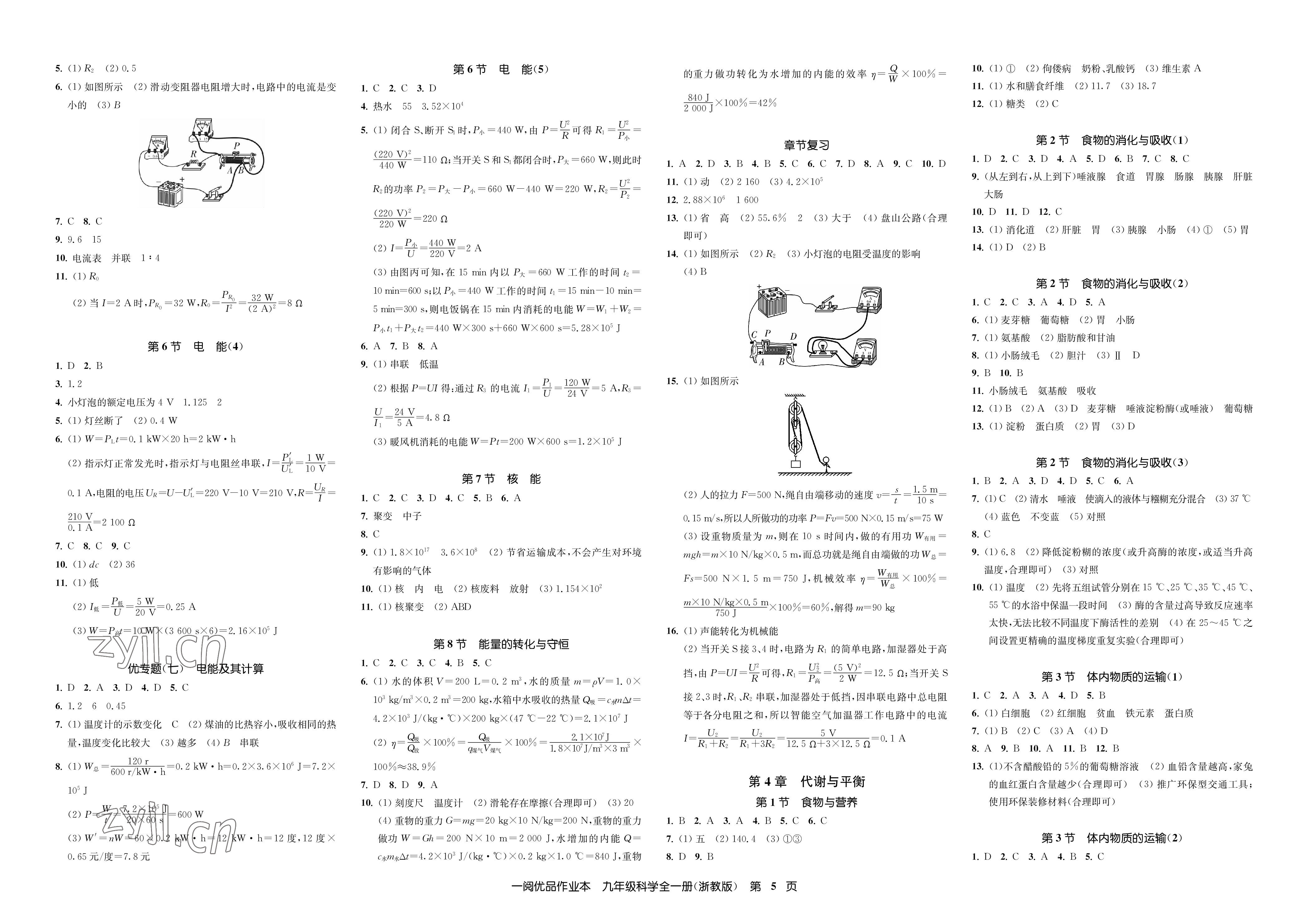 2023年一閱優(yōu)品作業(yè)本九年級(jí)科學(xué)全一冊(cè)浙教版 參考答案第5頁(yè)