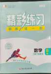 2023年精彩练习就练这一本九年级数学全一册浙教版