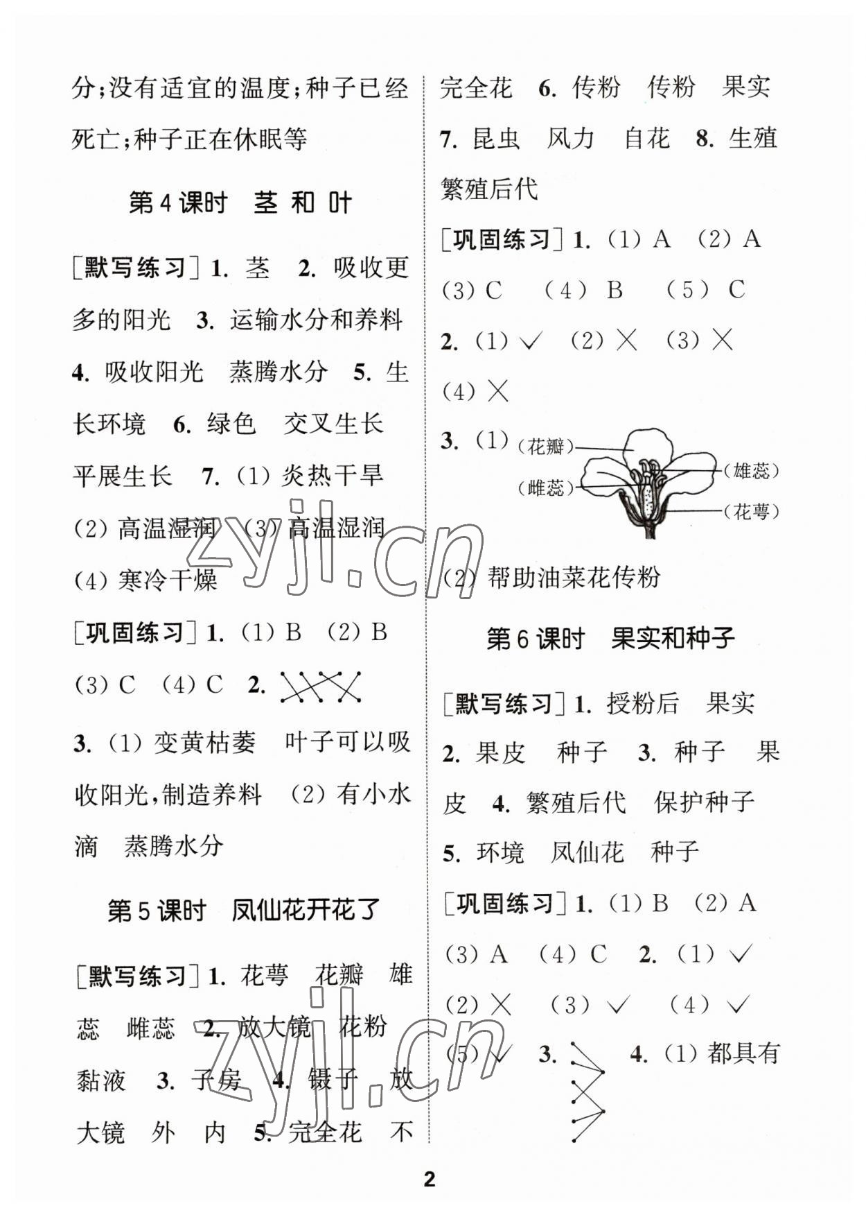 2023年通城學(xué)典默寫能手四年級(jí)科學(xué)下冊(cè)教科版 參考答案第2頁(yè)