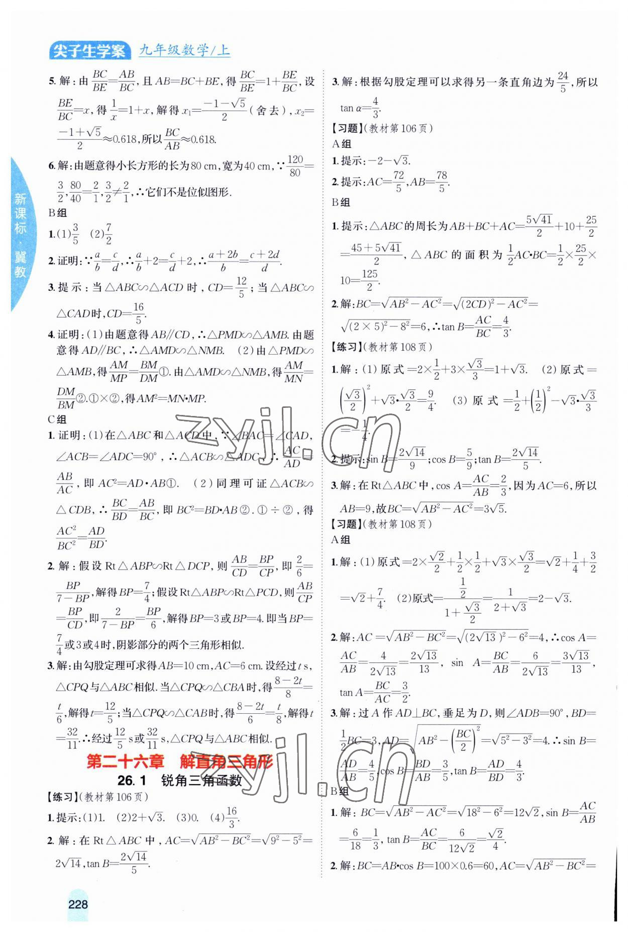 2023年尖子生學(xué)案九年級數(shù)學(xué)上冊冀教版 第10頁