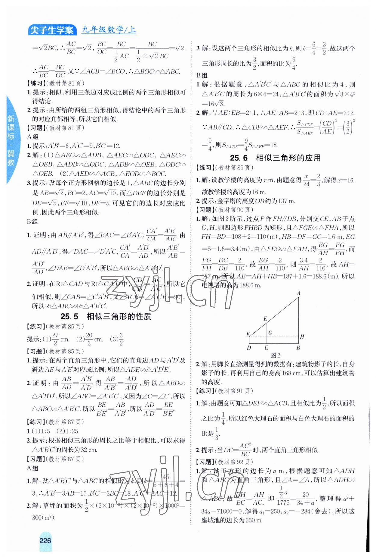 2023年尖子生学案九年级数学上册冀教版 第8页