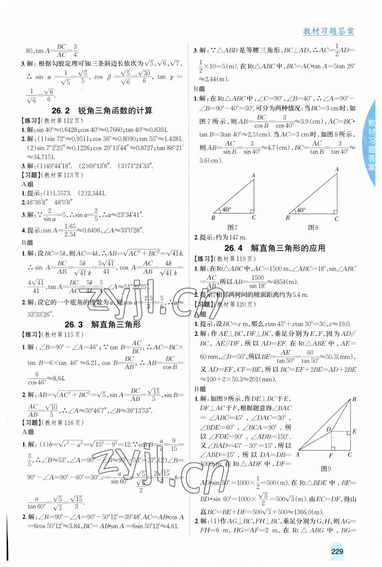 2023年尖子生学案九年级数学上册冀教版 第11页