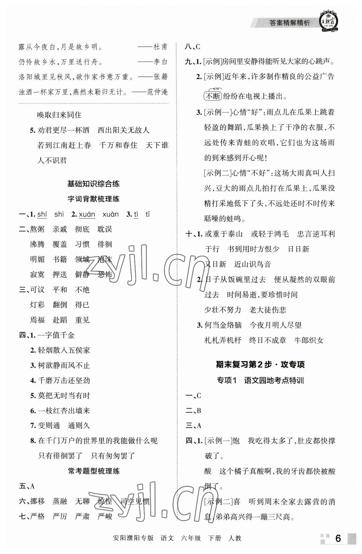 2023年王朝霞期末真题精编六年级语文下册人教版安濮专版 参考答案第6页