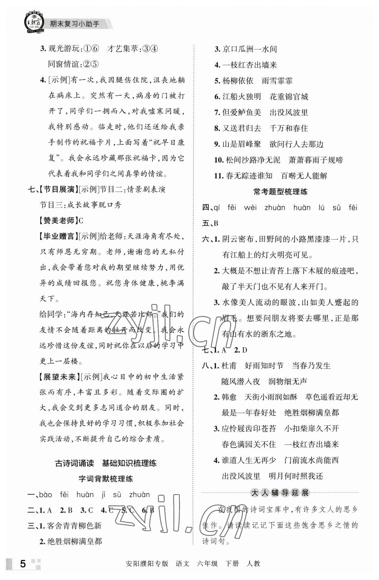 2023年王朝霞期末真题精编六年级语文下册人教版安濮专版 参考答案第5页