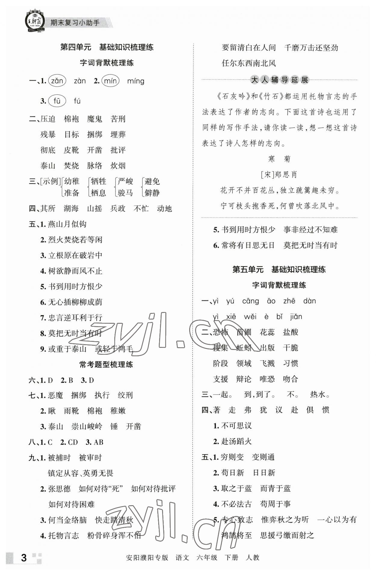 2023年王朝霞期末真題精編六年級(jí)語(yǔ)文下冊(cè)人教版安濮專(zhuān)版 參考答案第3頁(yè)