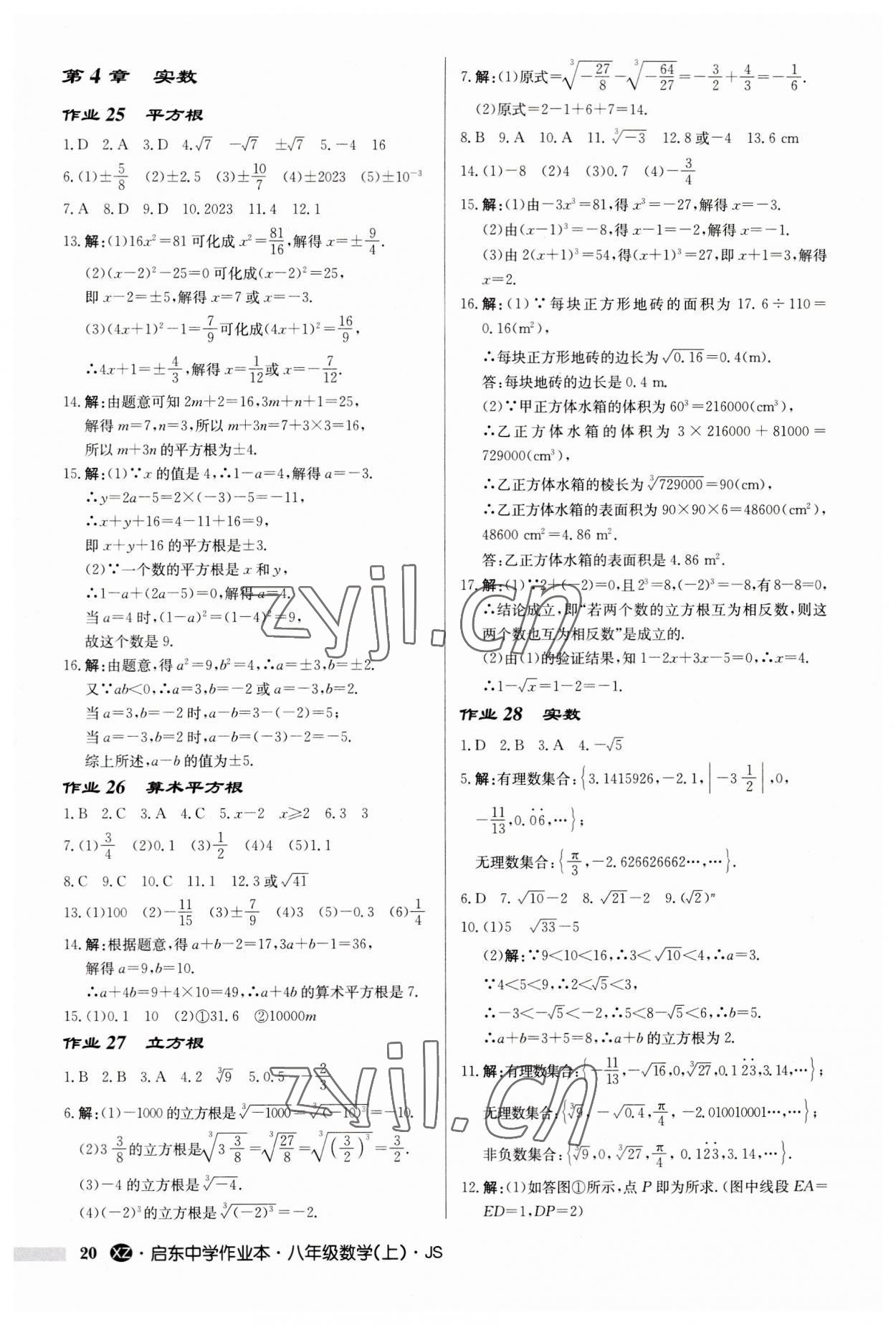 2023年启东中学作业本八年级数学上册苏科版徐州专版 第20页