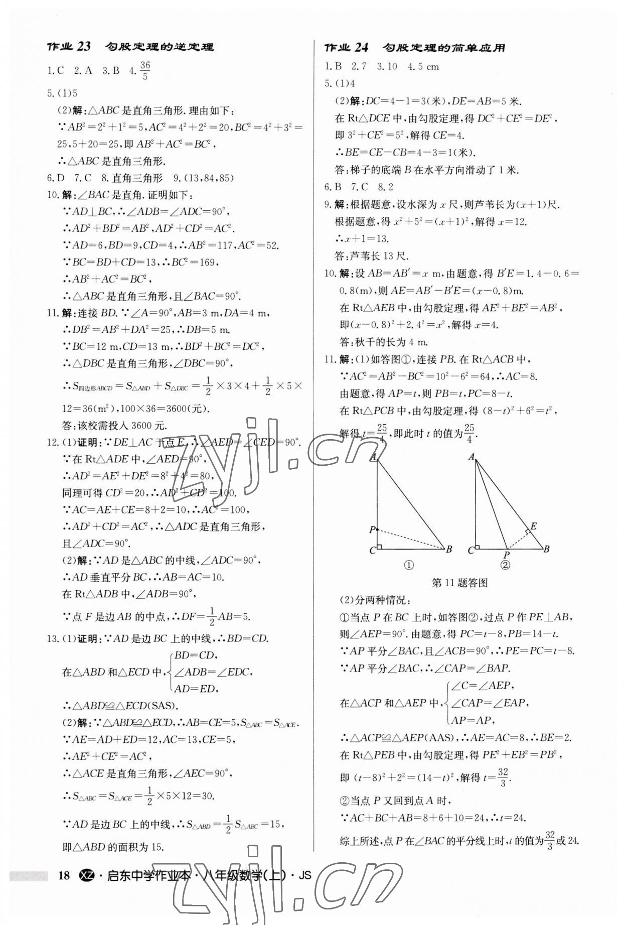 2023年启东中学作业本八年级数学上册苏科版徐州专版 第18页